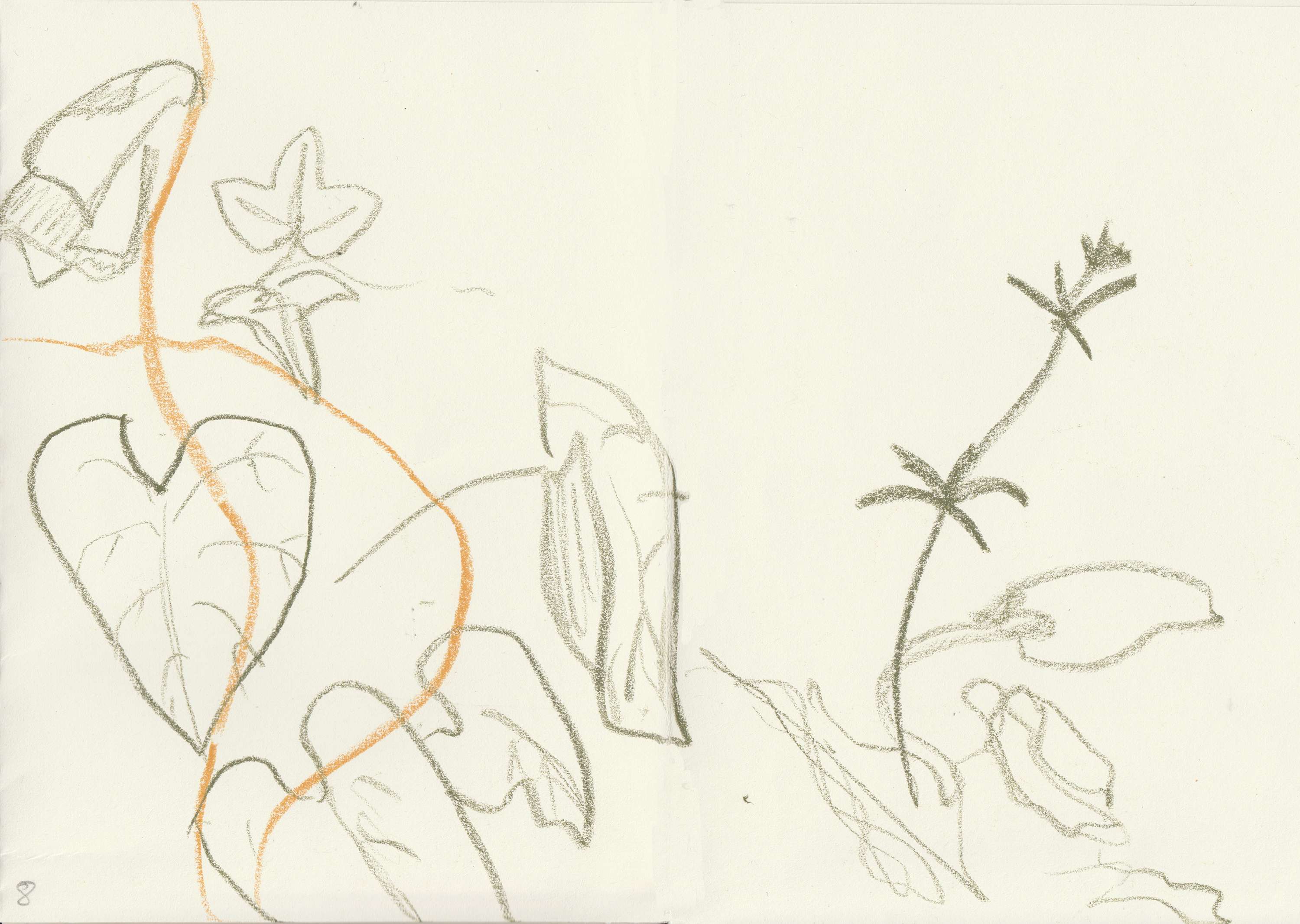 Walking & Foraging by Alice Kirby