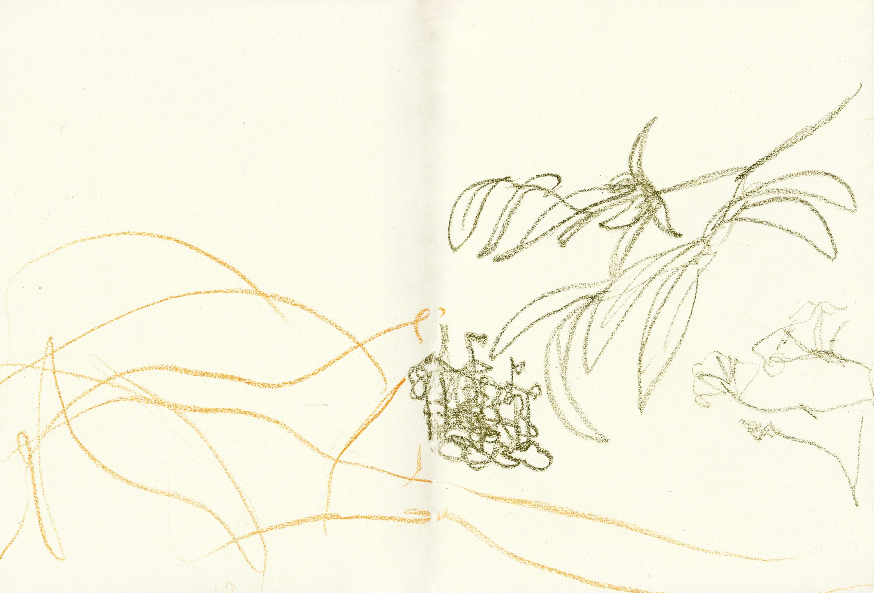 Walking & Foraging by Alice Kirby