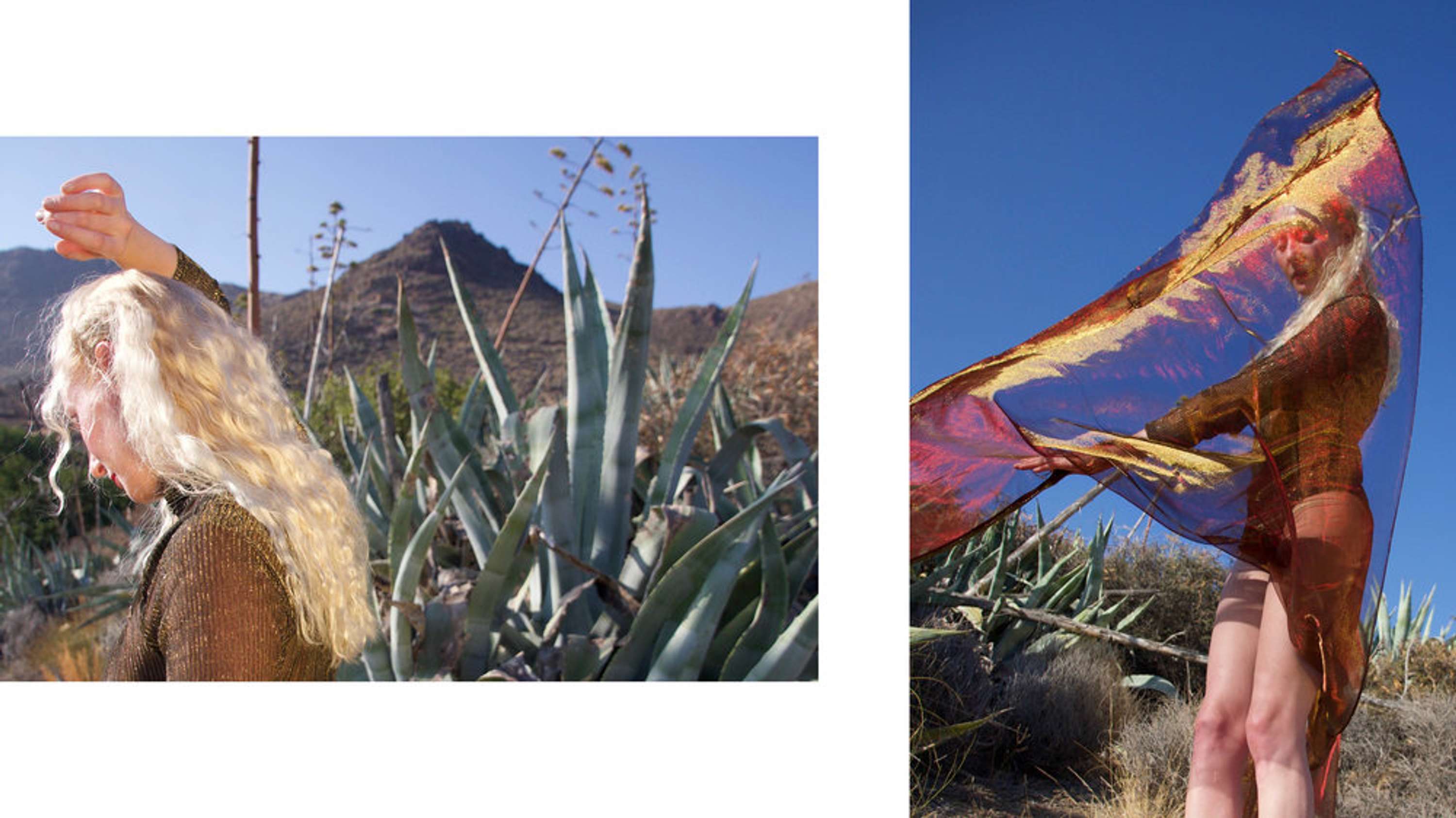 Heatstroke by Rosie Hardwick