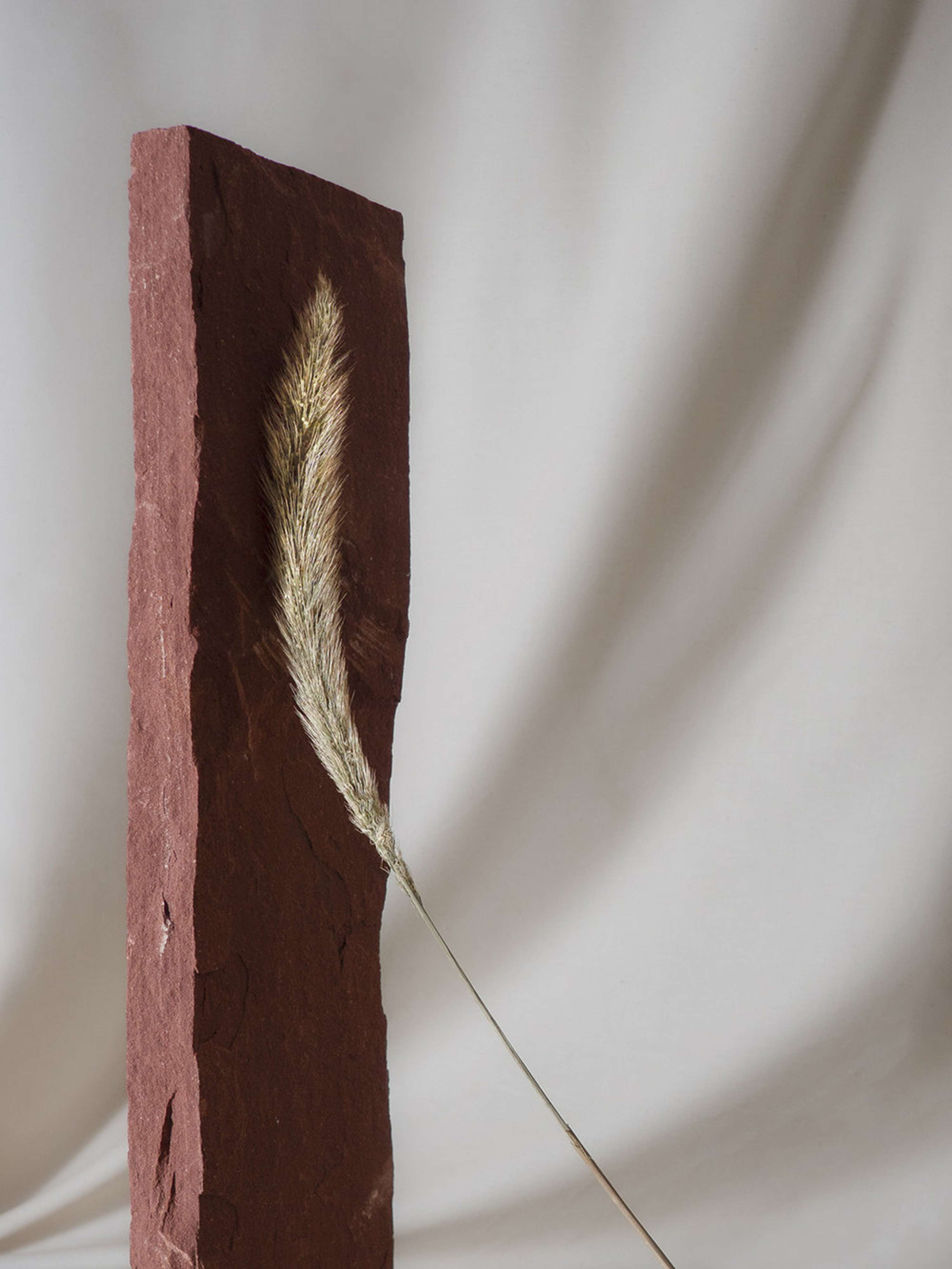 Exploring Form & Texture by Rosie Hardwick