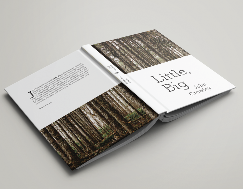 Little Big: Book Design by Renée Elizabeth Salmonsen