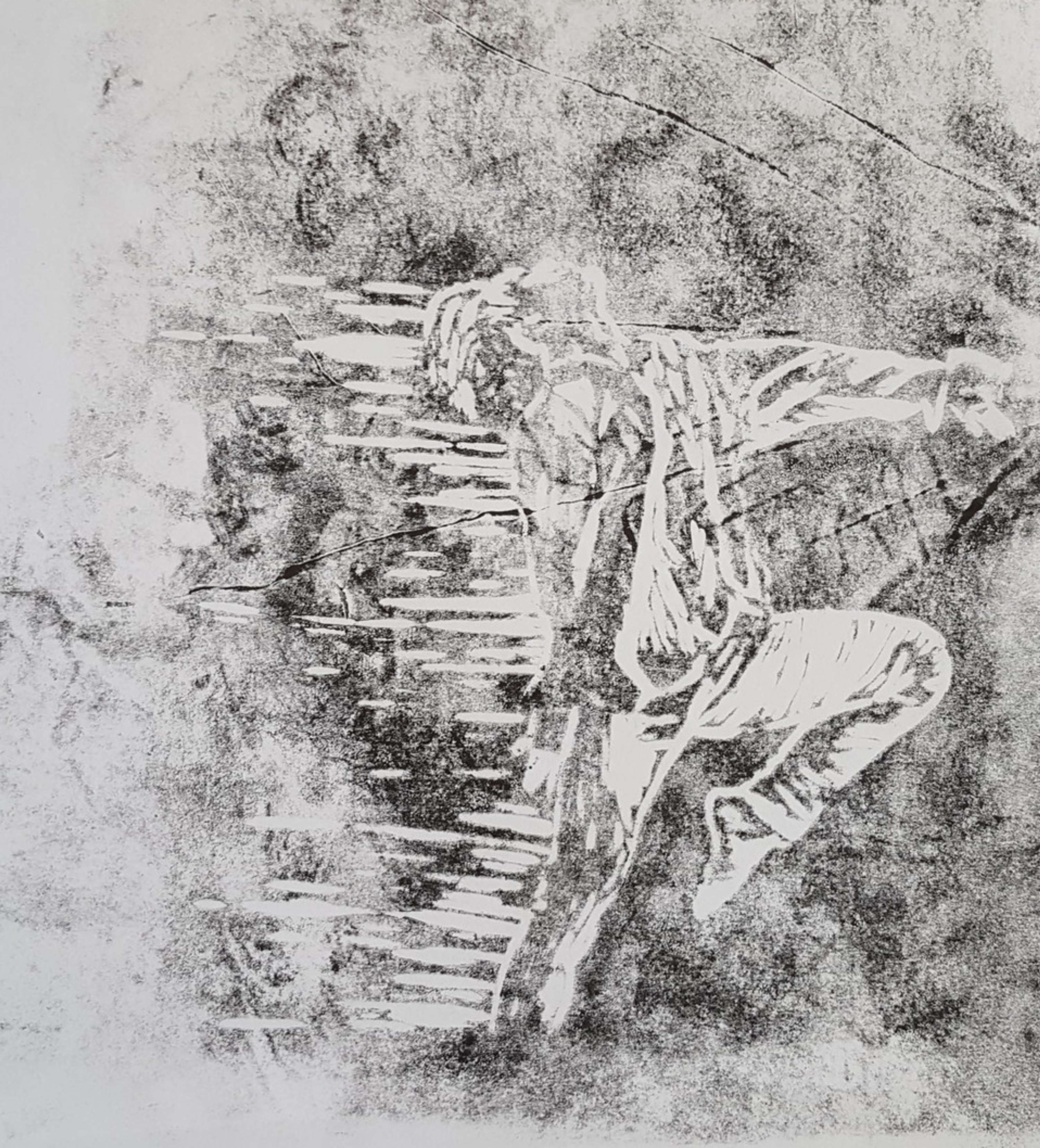 Imperfect Prints by Gemma Shrimpton