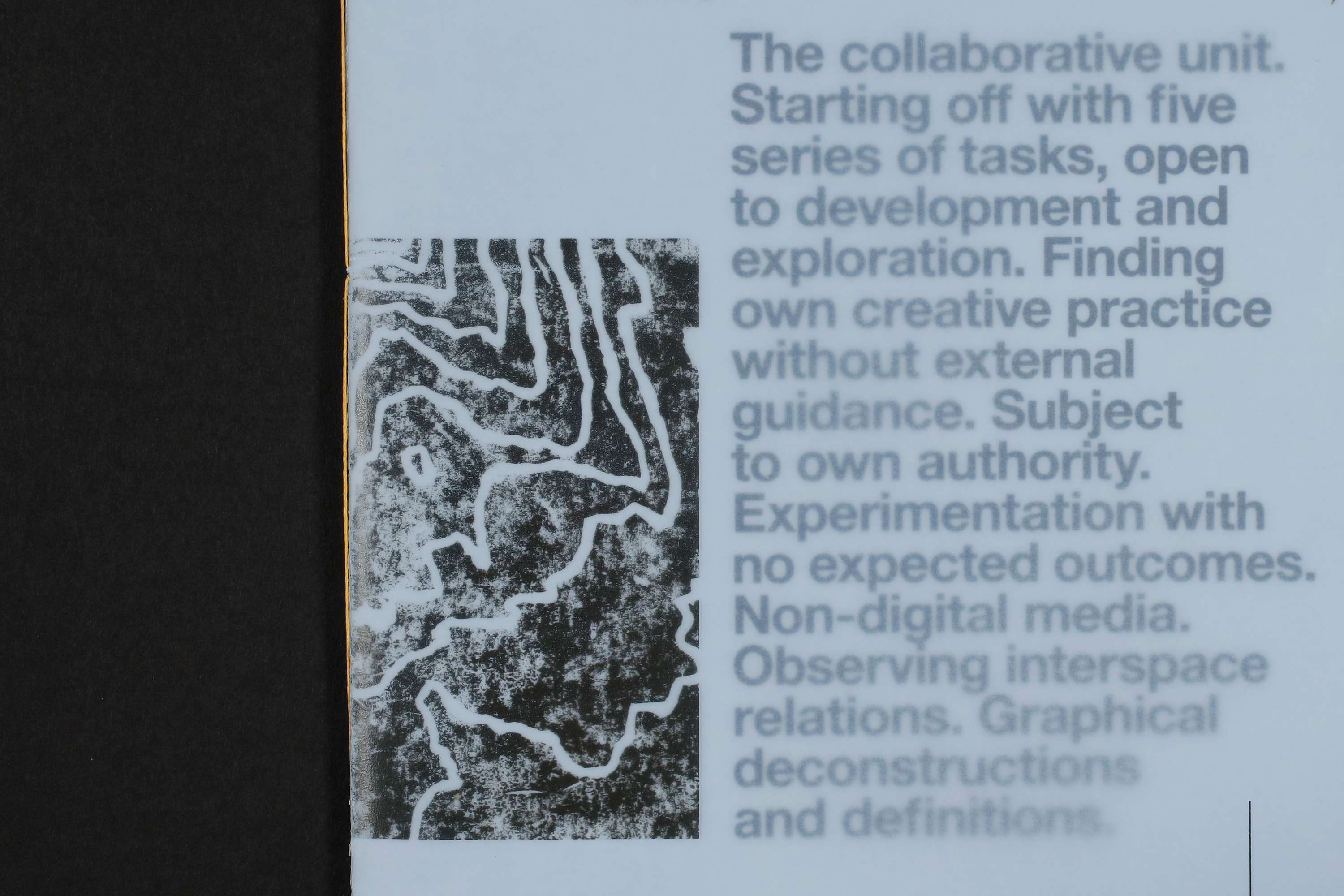Reflective Journal: Experimentation With No Expected Outcomes by Christina Domini