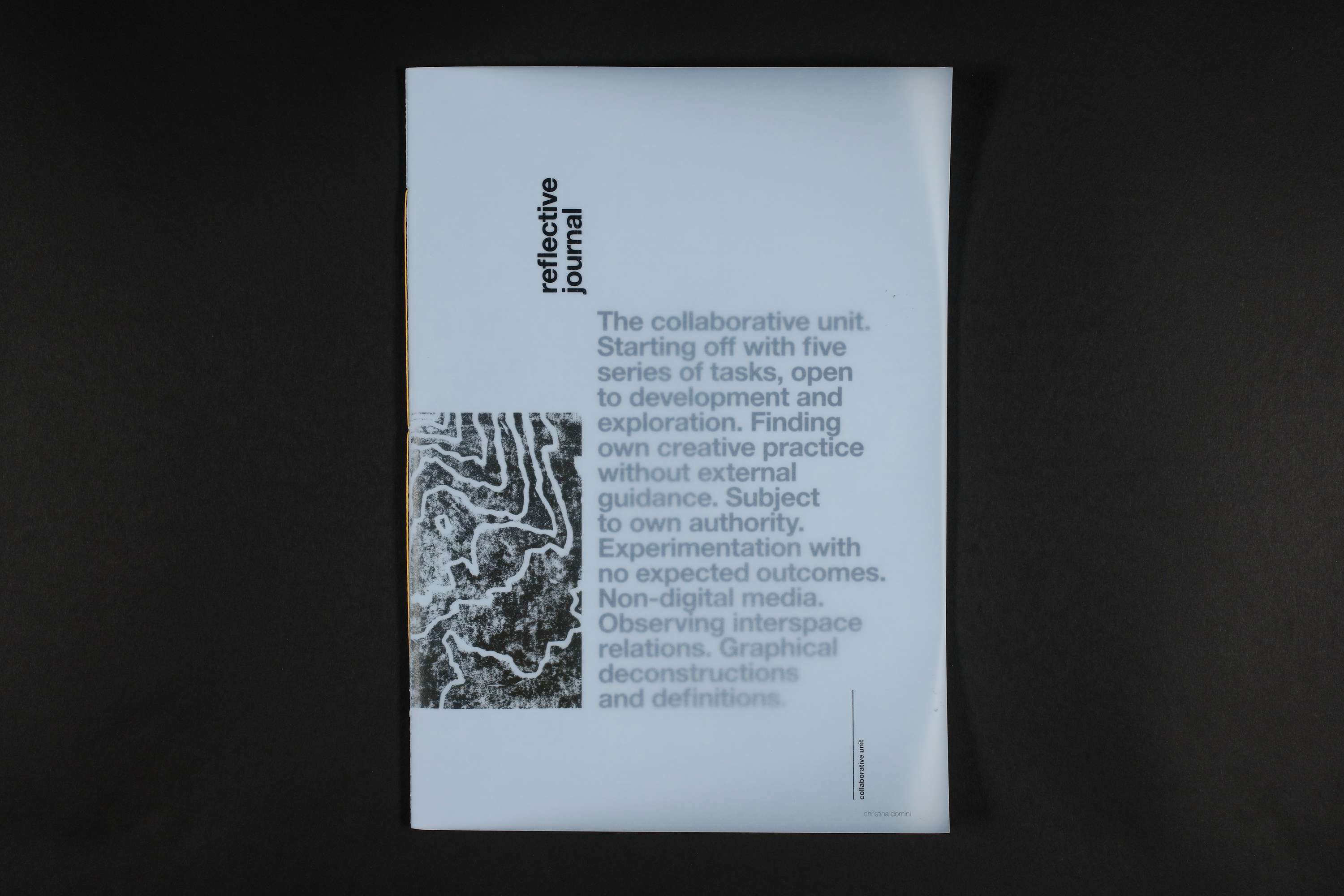 Reflective Journal: Experimentation With No Expected Outcomes by Christina Domini
