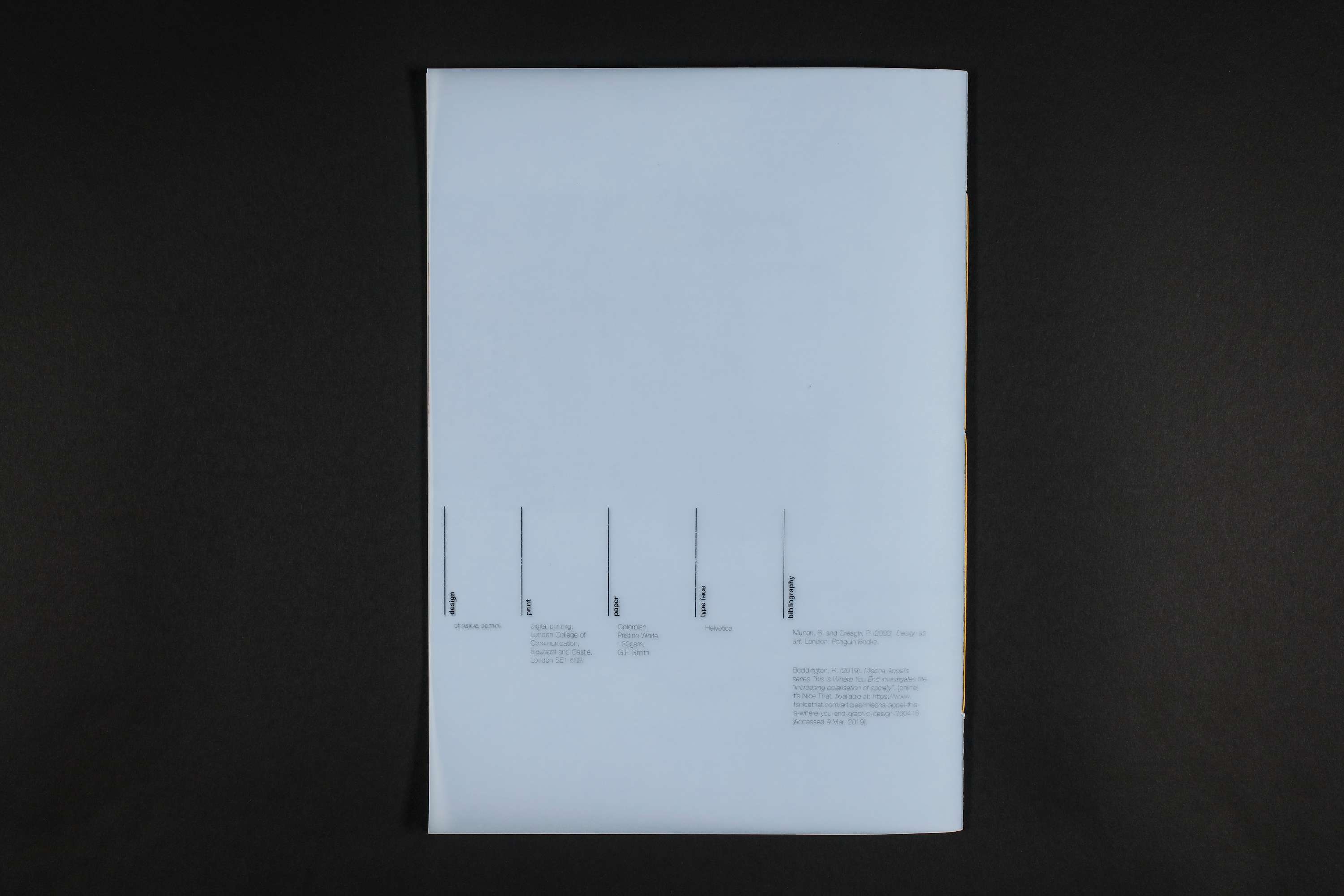 Reflective Journal: Experimentation With No Expected Outcomes by Christina Domini
