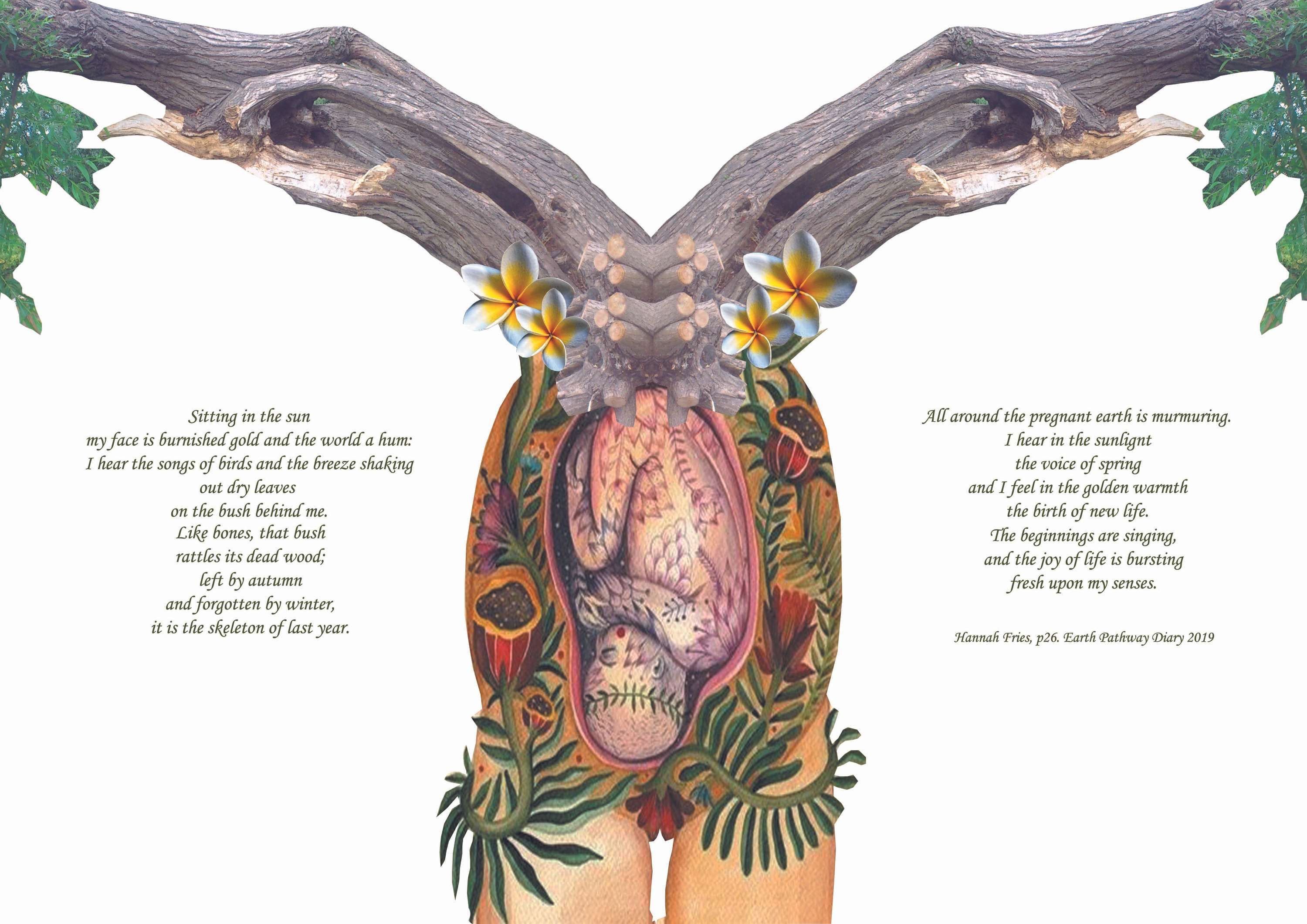 Cut, contour, control project by Maria Elena Florido Suarez
