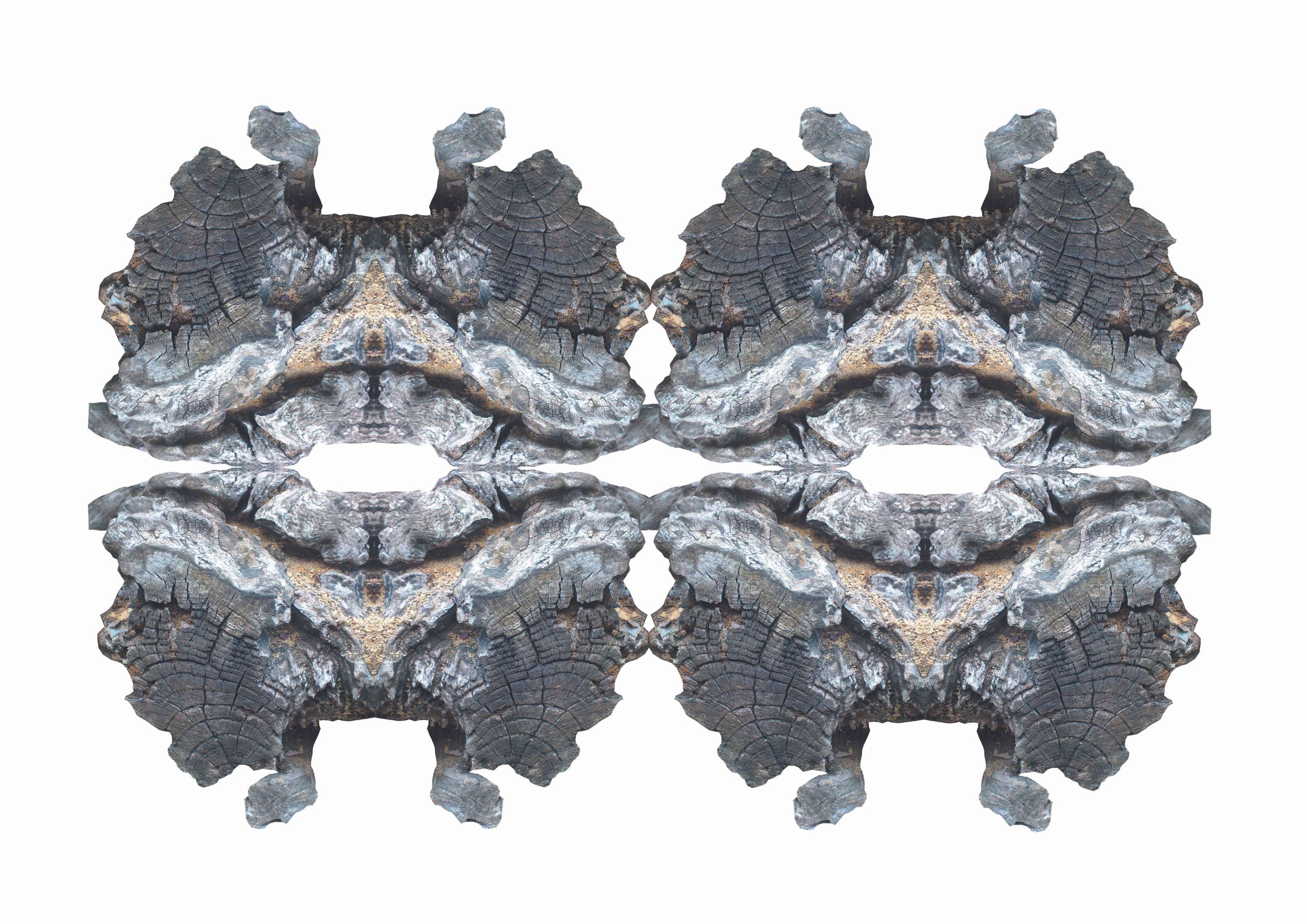 Cut, contour, control project by Maria Elena Florido Suarez