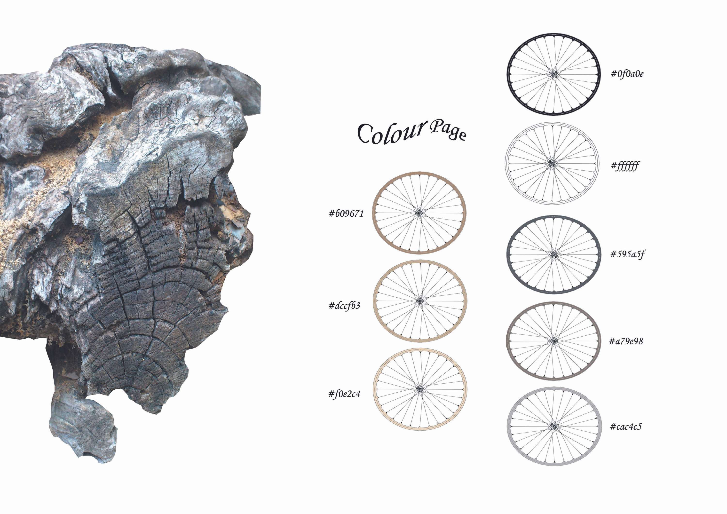 Cut, contour, control project by Maria Elena Florido Suarez