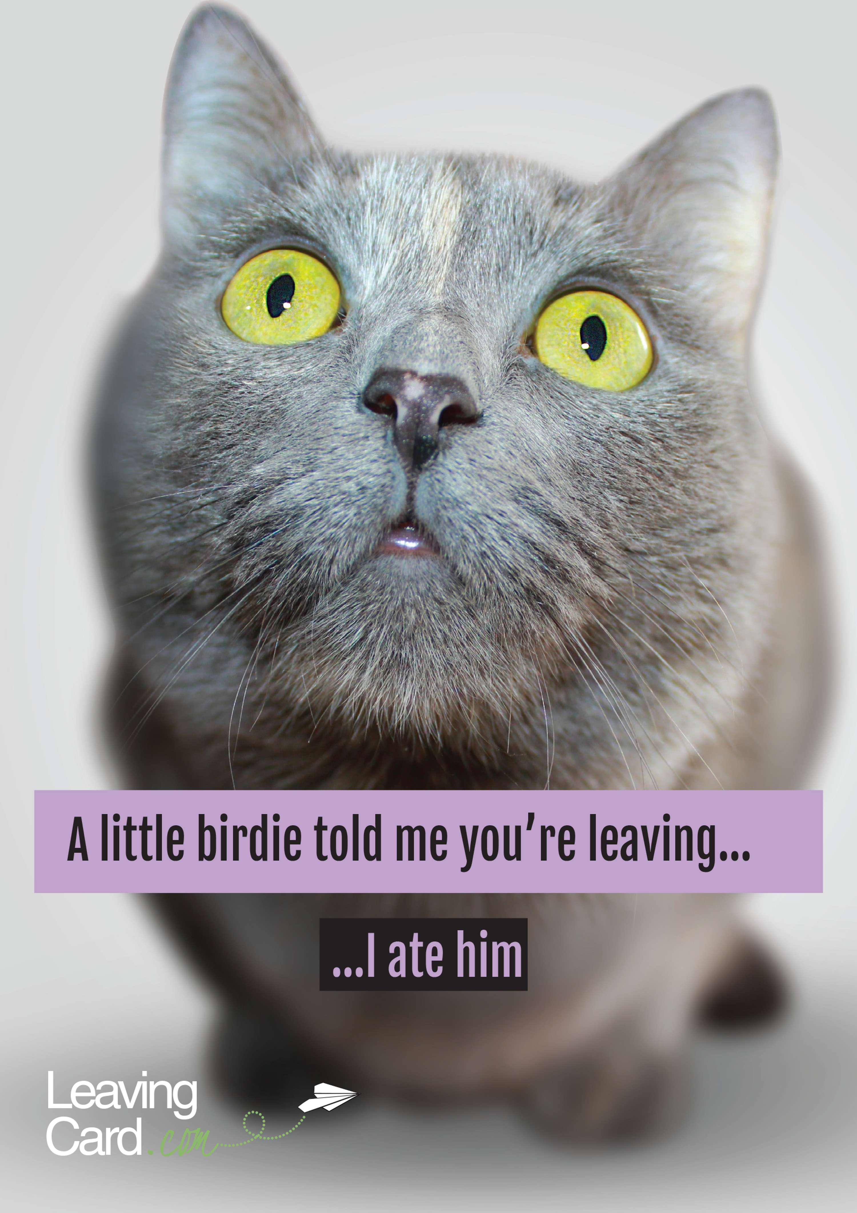 Card design for LeavingCard and TogetherCard.com by Natalie Rickman