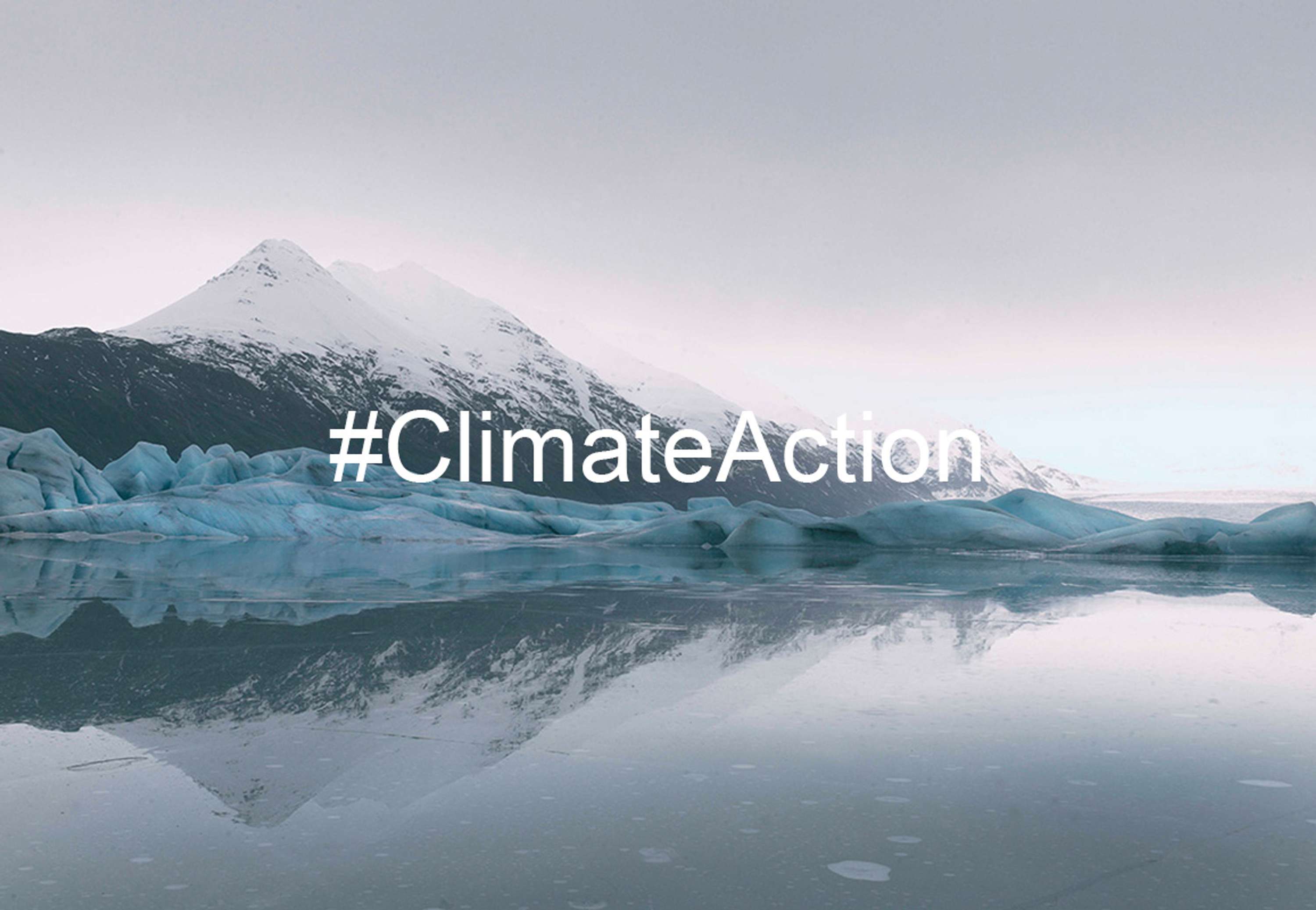 #CLIMATE ACTION by Terri Manduca