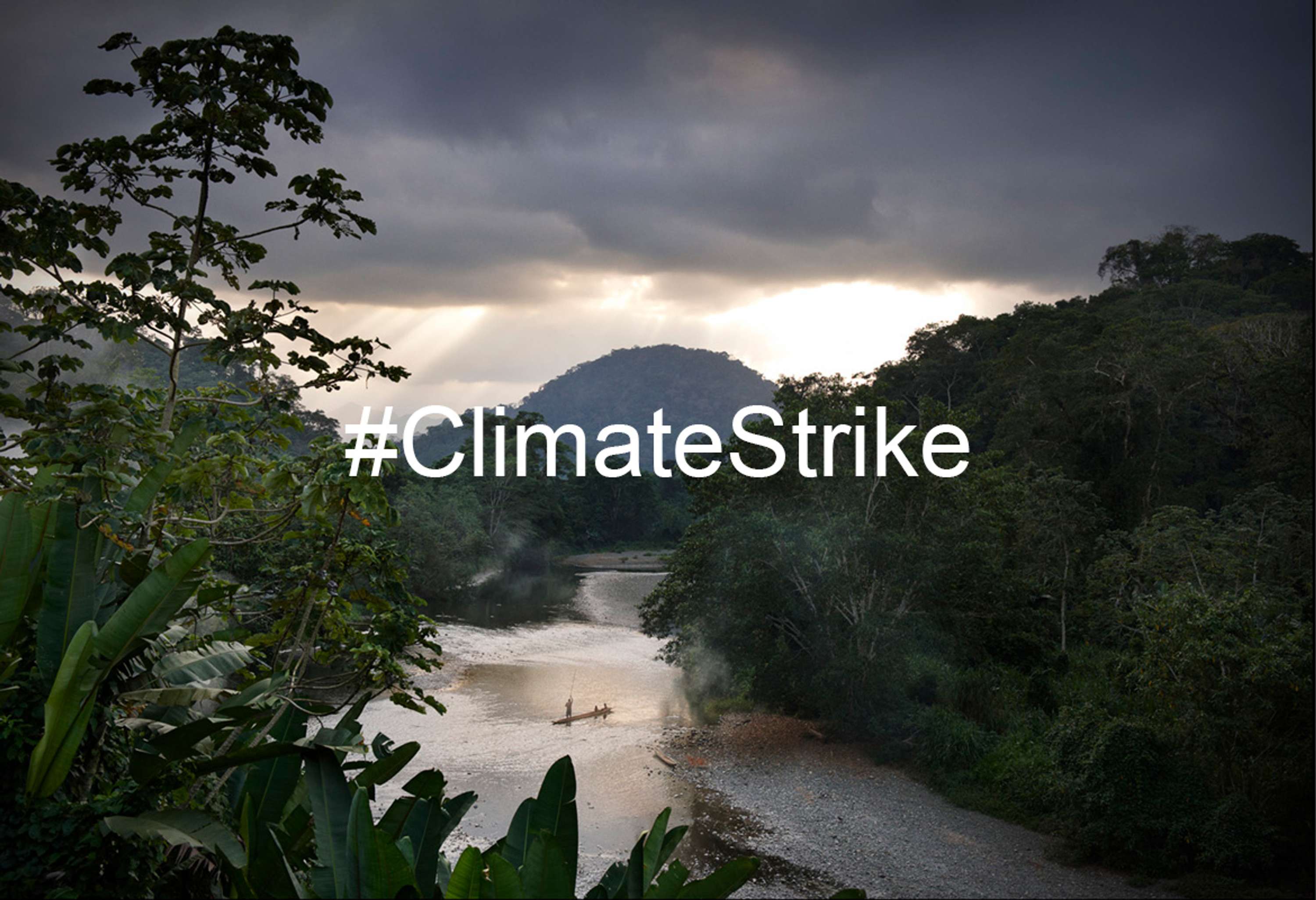 #CLIMATE ACTION by Terri Manduca