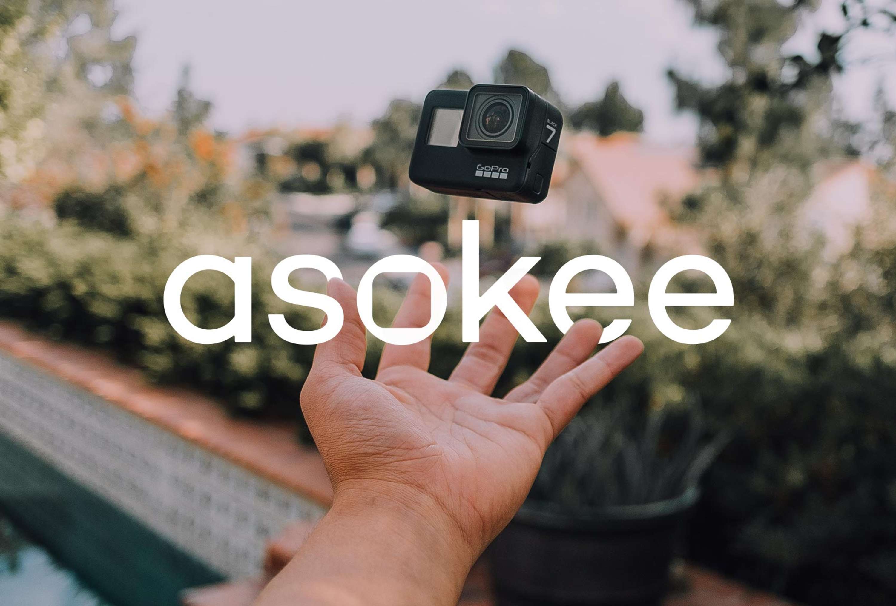 Asokee by Matteo Di Iorio
