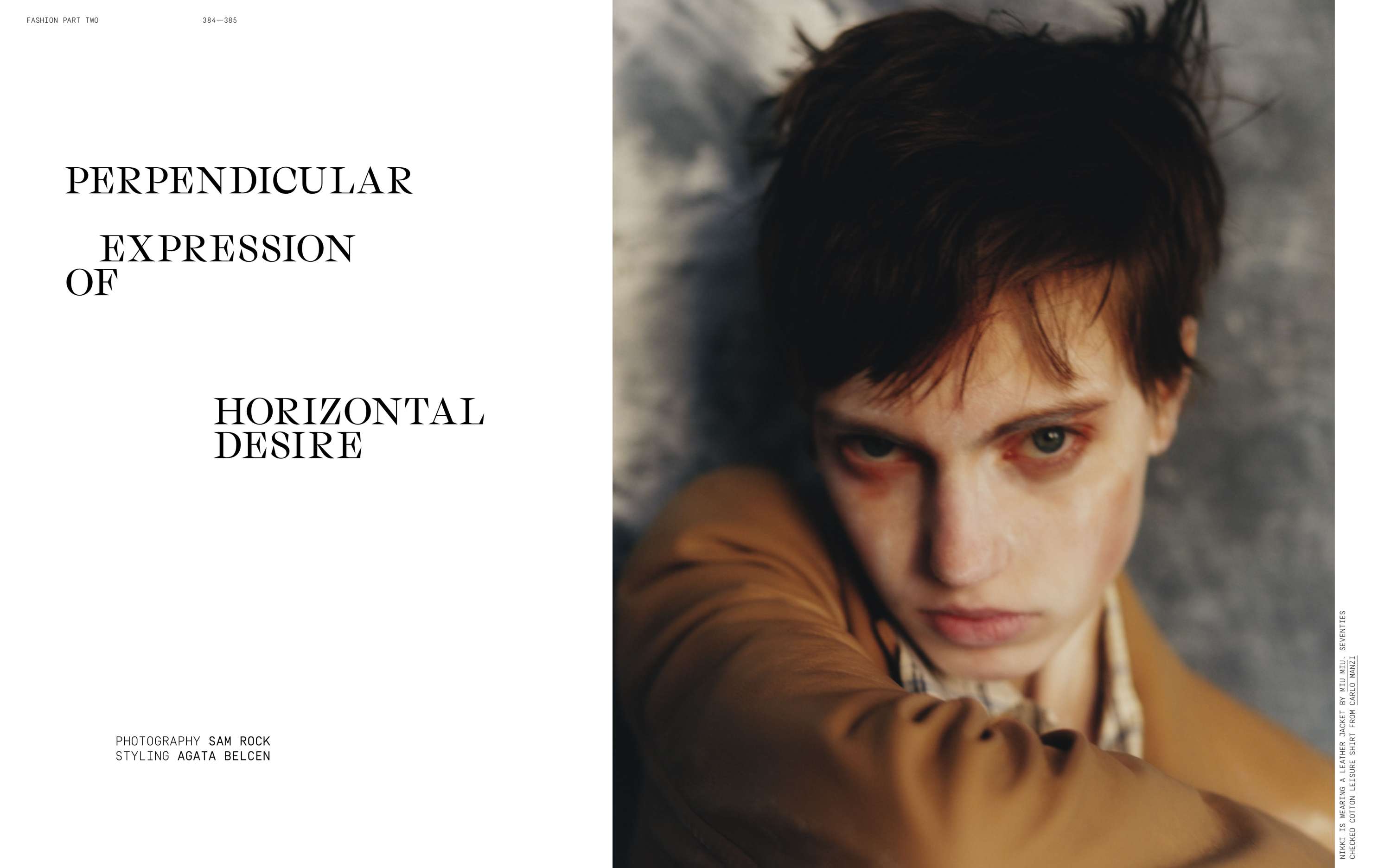 Perpendicular Expression of Horizontal Desire by Mark Pattenden
