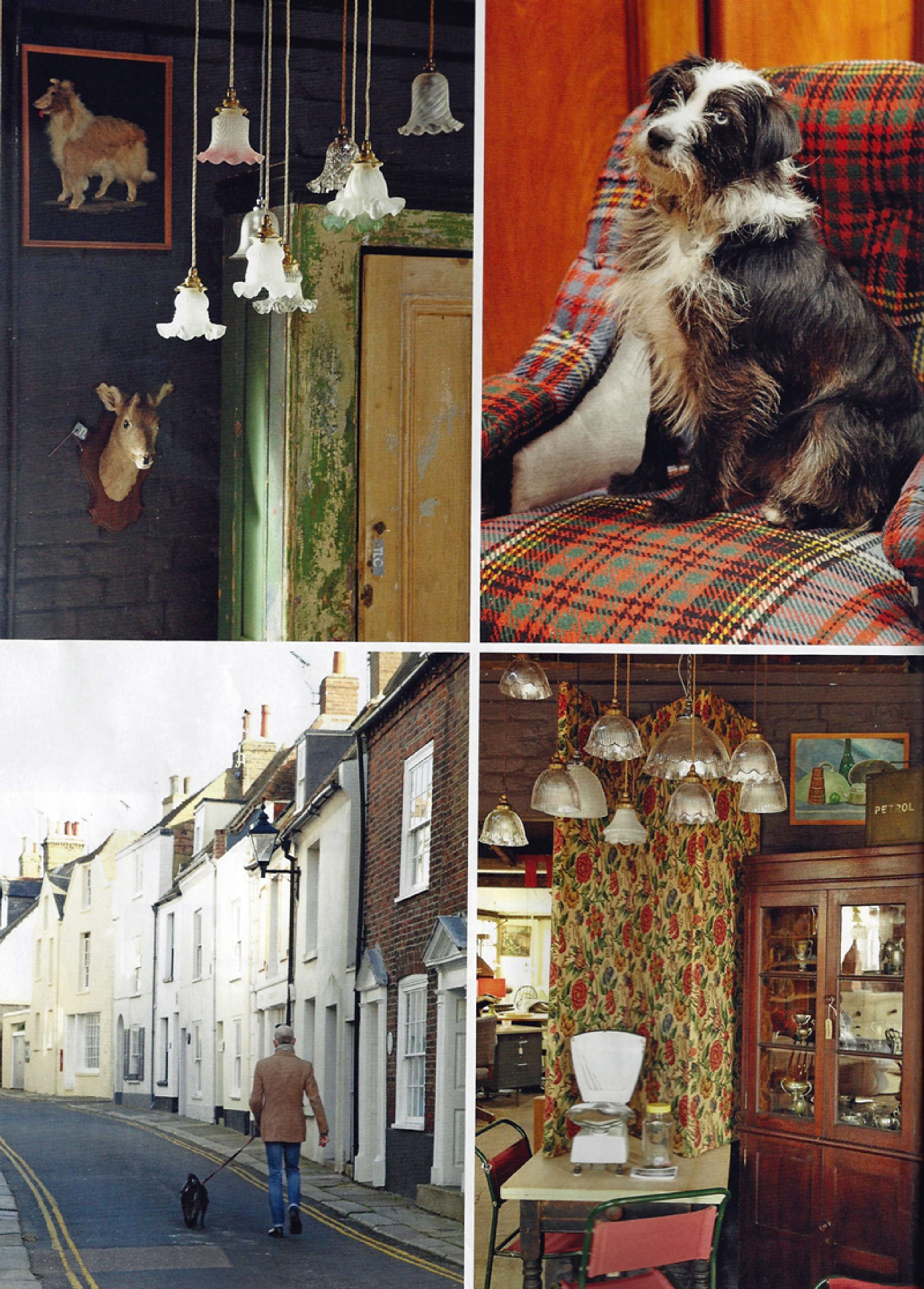 Interiors features by Kathryn Reilly