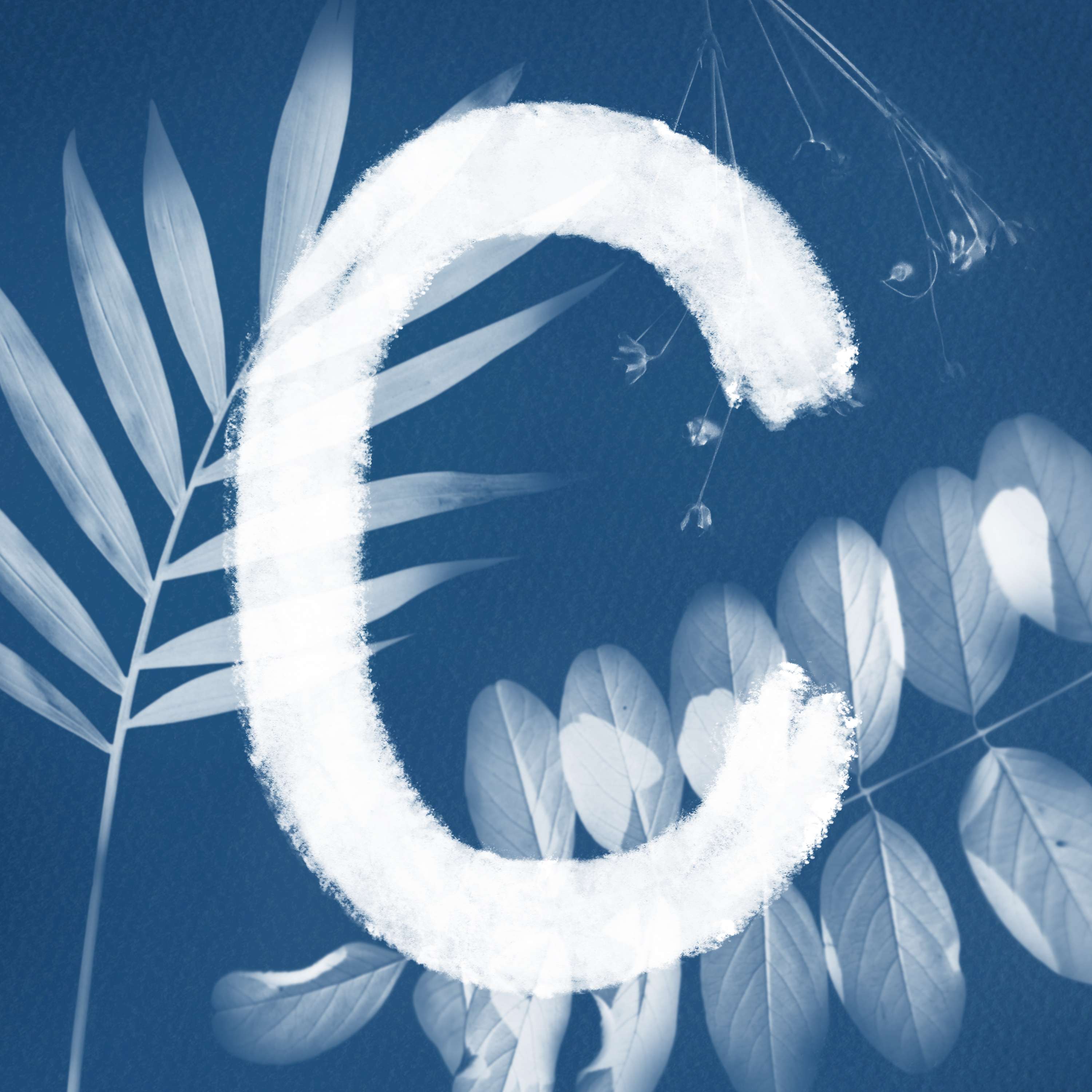 36 Days of Type by Ellen Covey