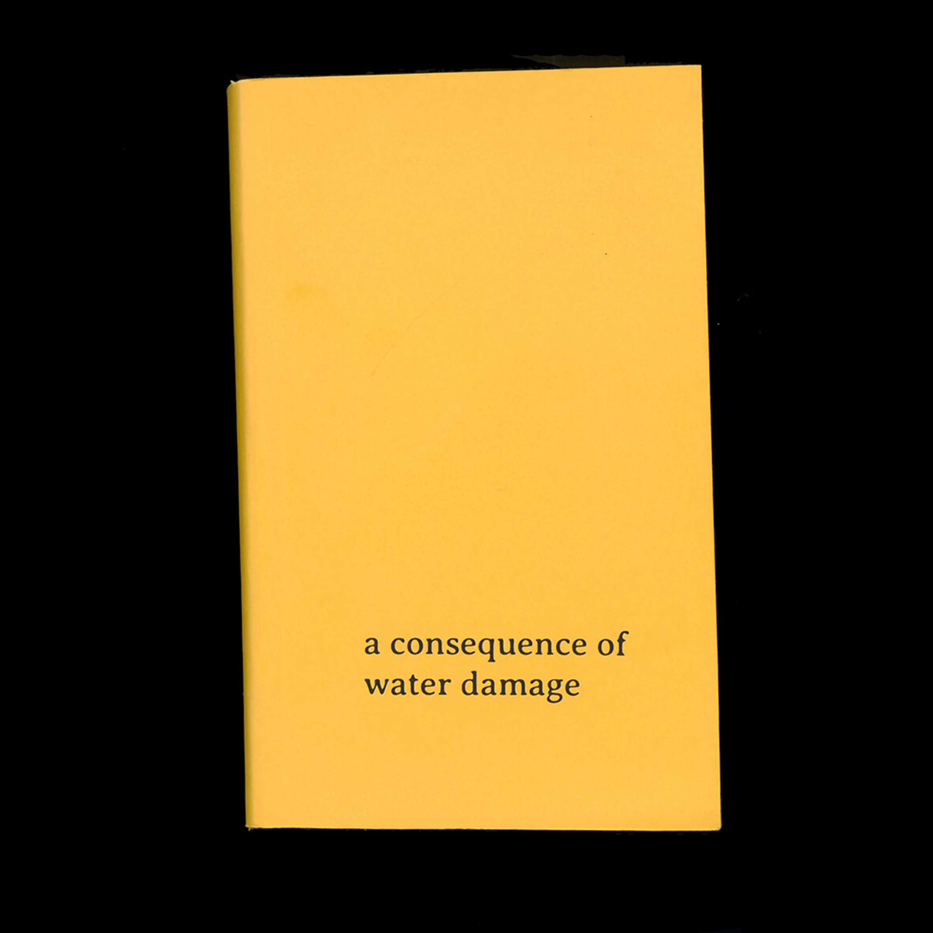 A Consequence of Water Damage by Celina Carlisle