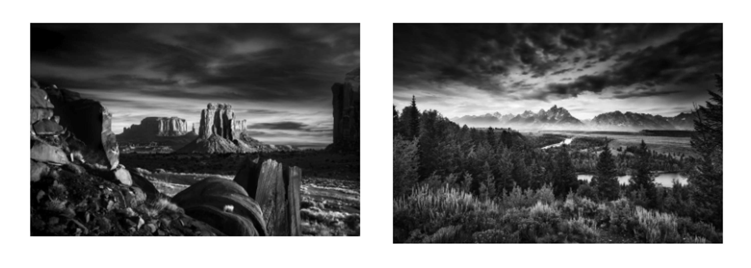 Why It’s Important to Create a Visual Aesthetic For Your Photography by Shutterstock