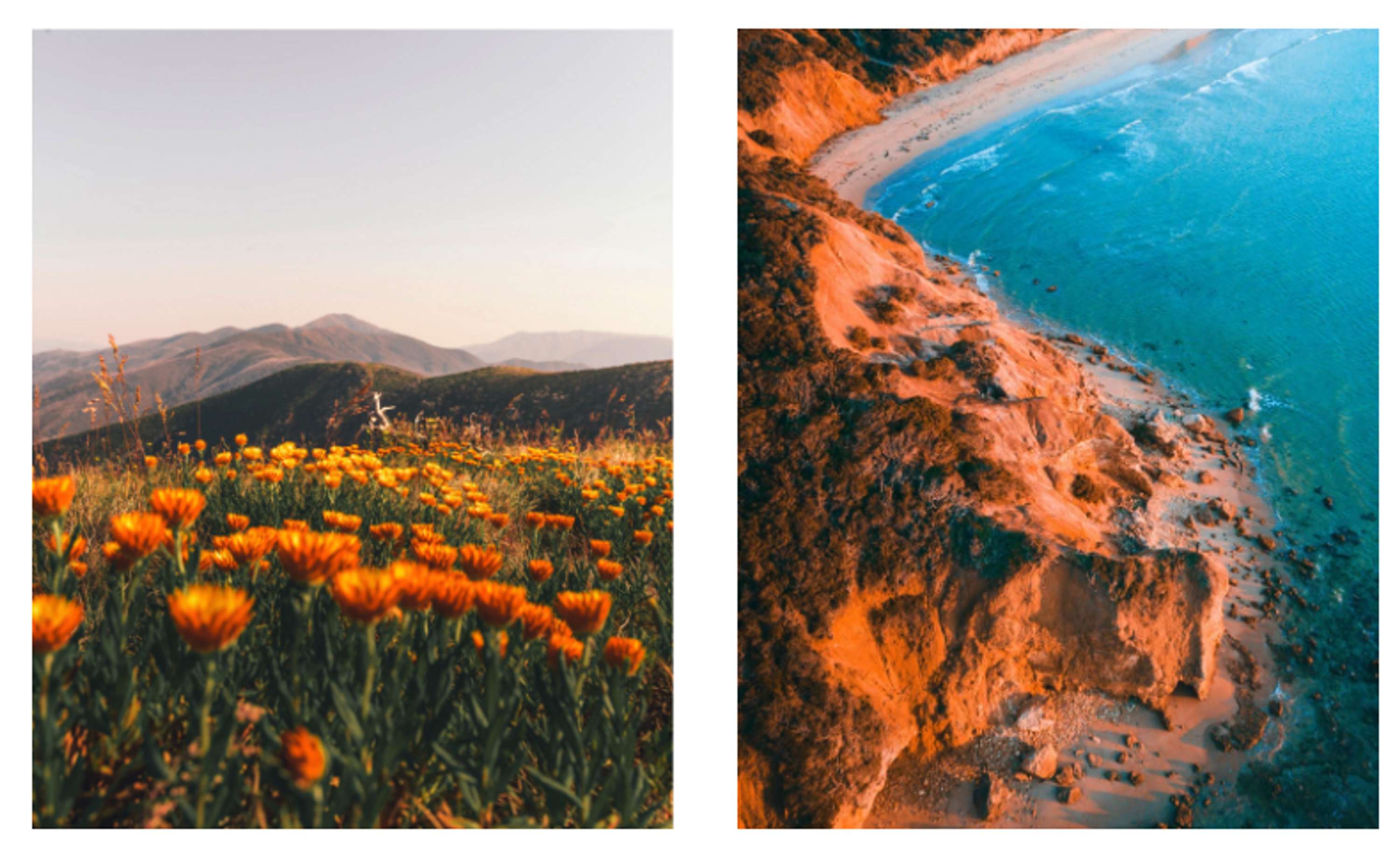 Why It’s Important to Create a Visual Aesthetic For Your Photography by Shutterstock