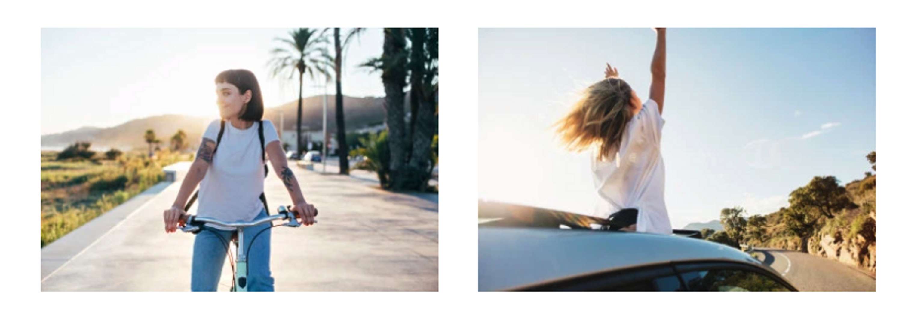 Why It’s Important to Create a Visual Aesthetic For Your Photography by Shutterstock
