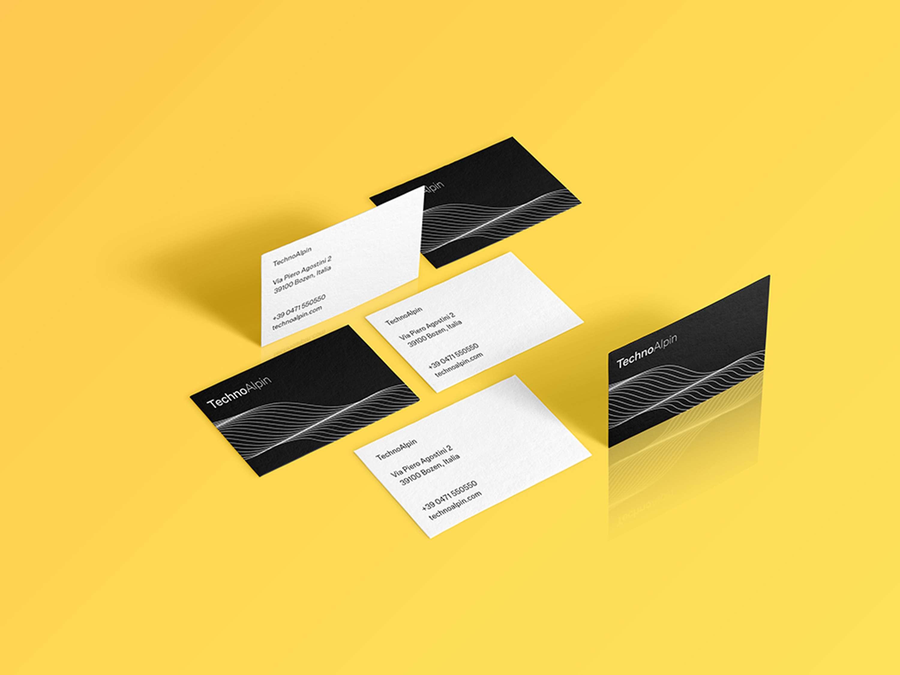 TechnoAlpin rebranding proposal by Chiara Zhu