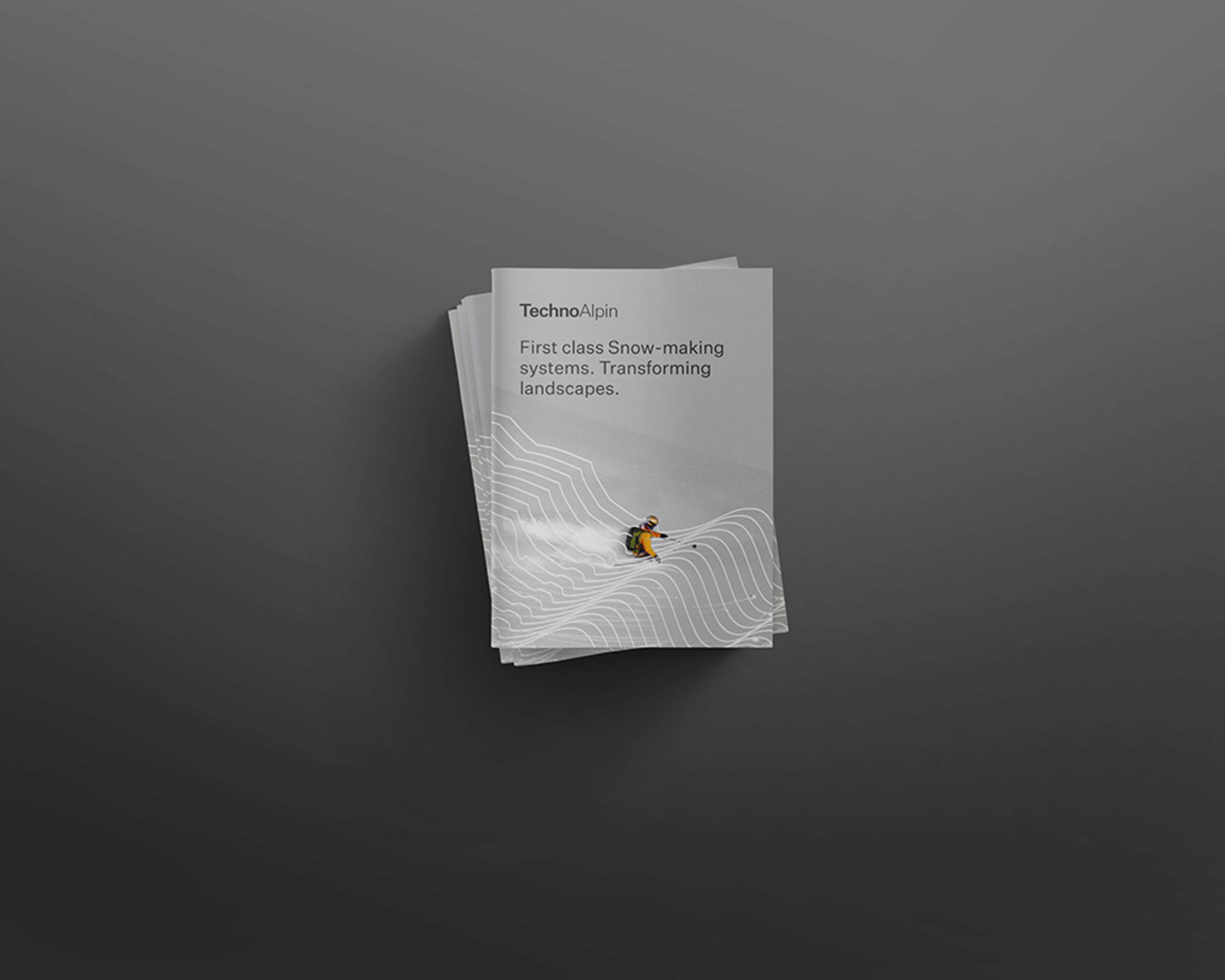 TechnoAlpin rebranding proposal by Chiara Zhu