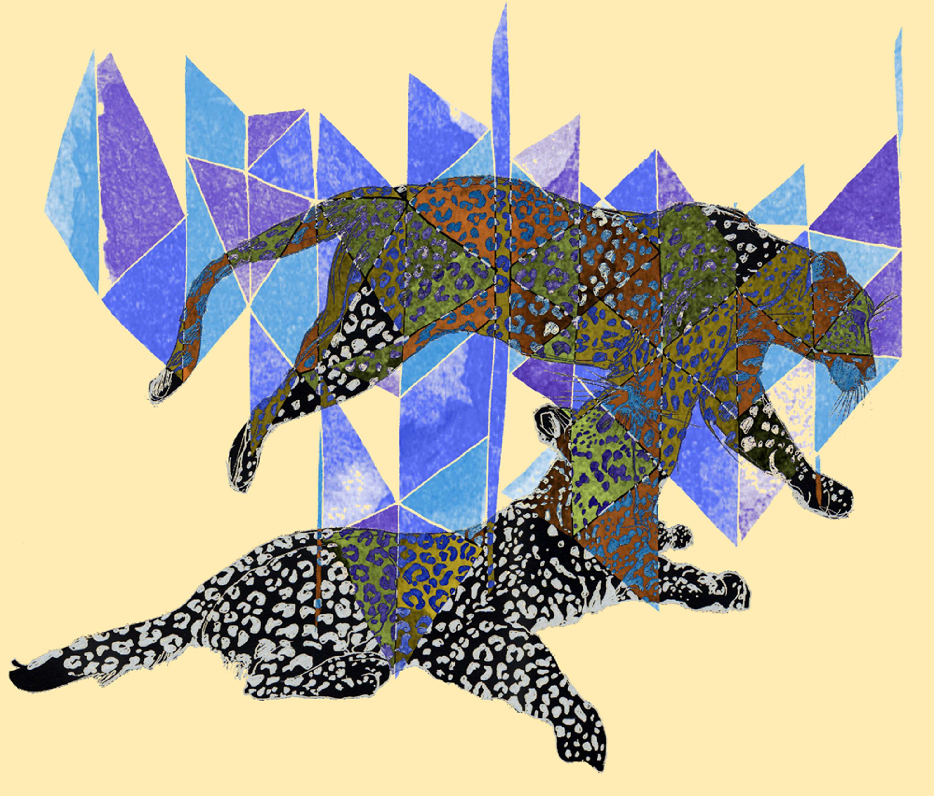 Prints and Graphics by Michal Pollard