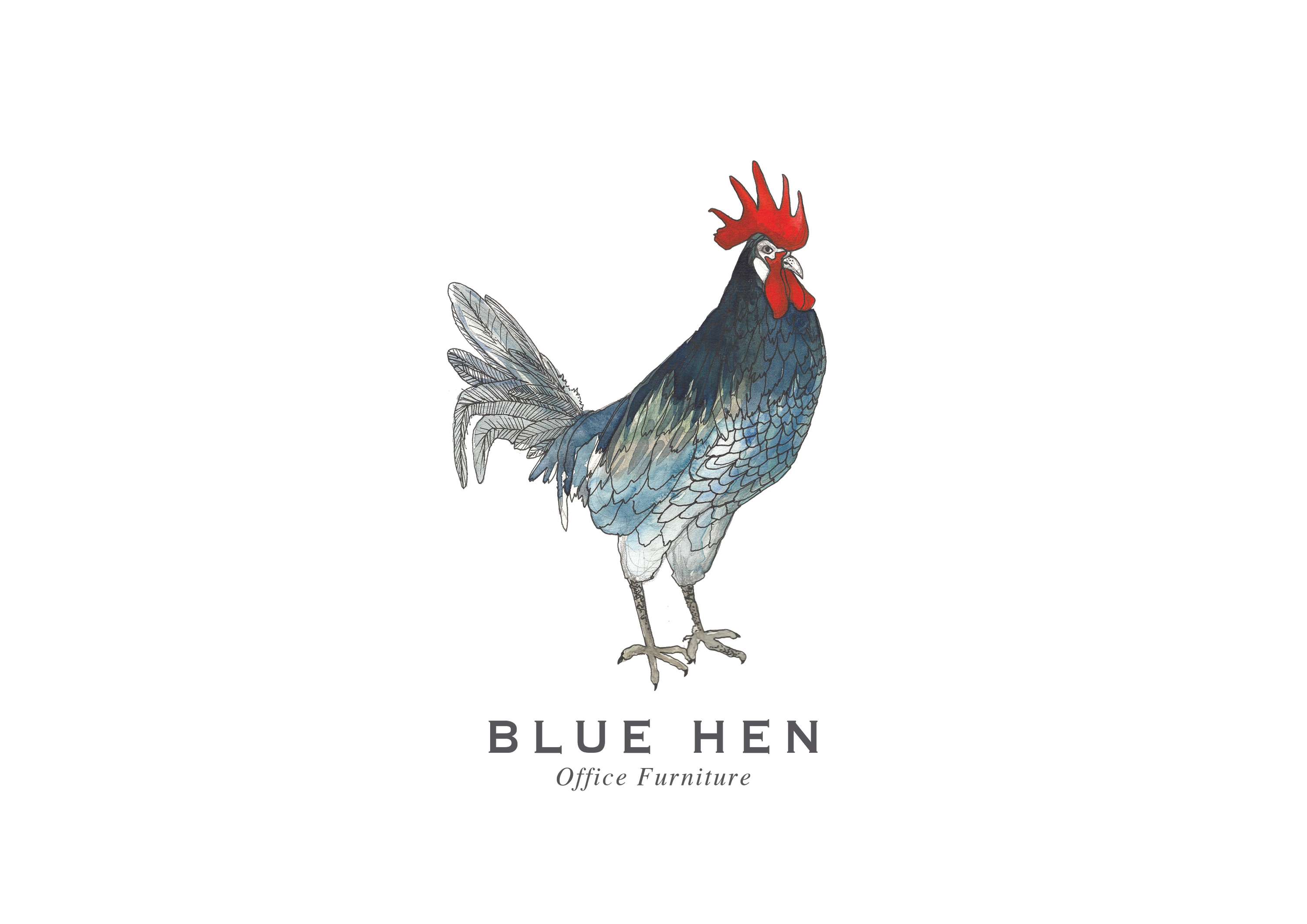 Blue Hen Logo by Naomi Jackson