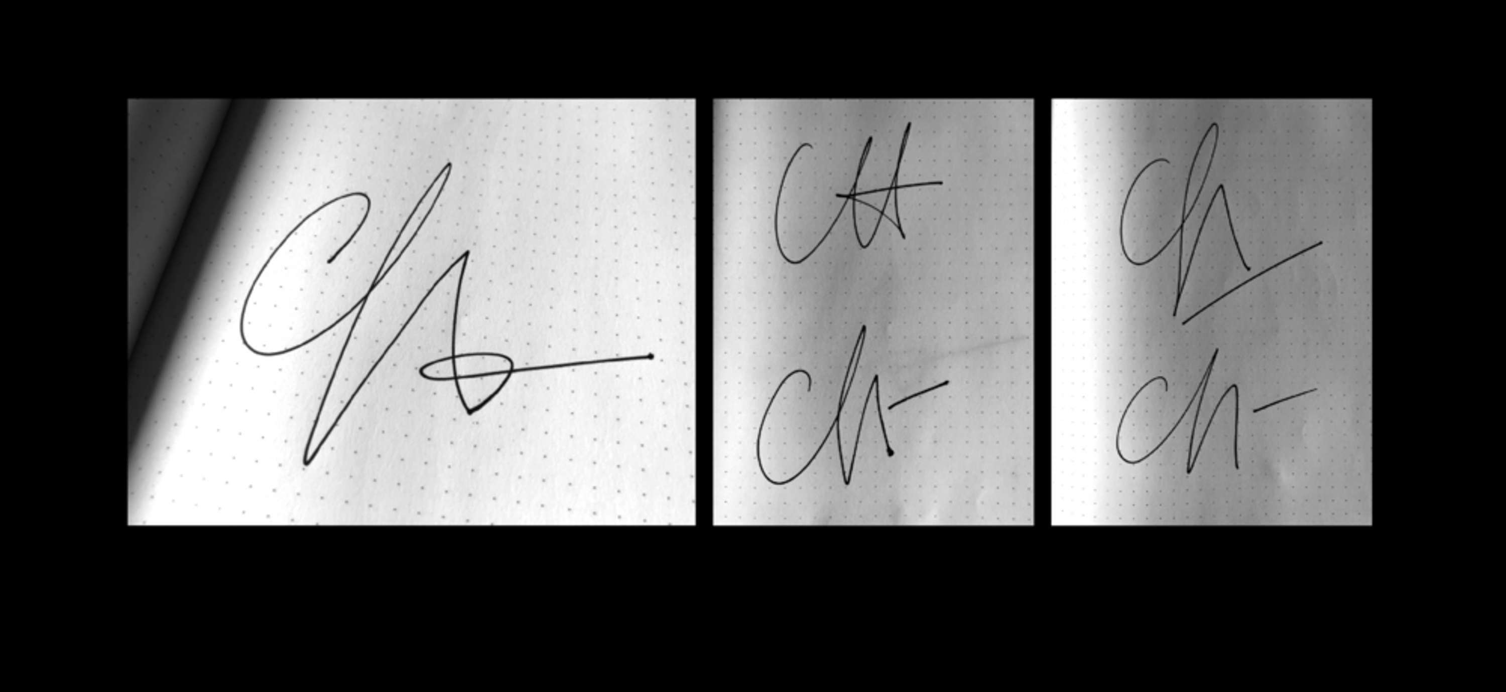 Cat Howard Branding by Cat Howard