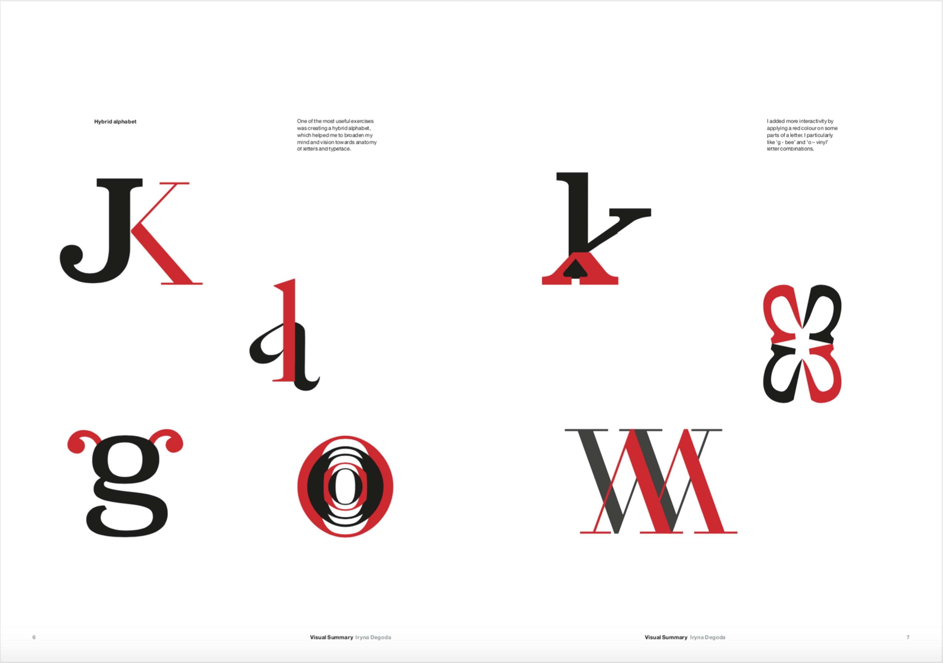 Visual Summary. A4 Publication by Iryna Degoda