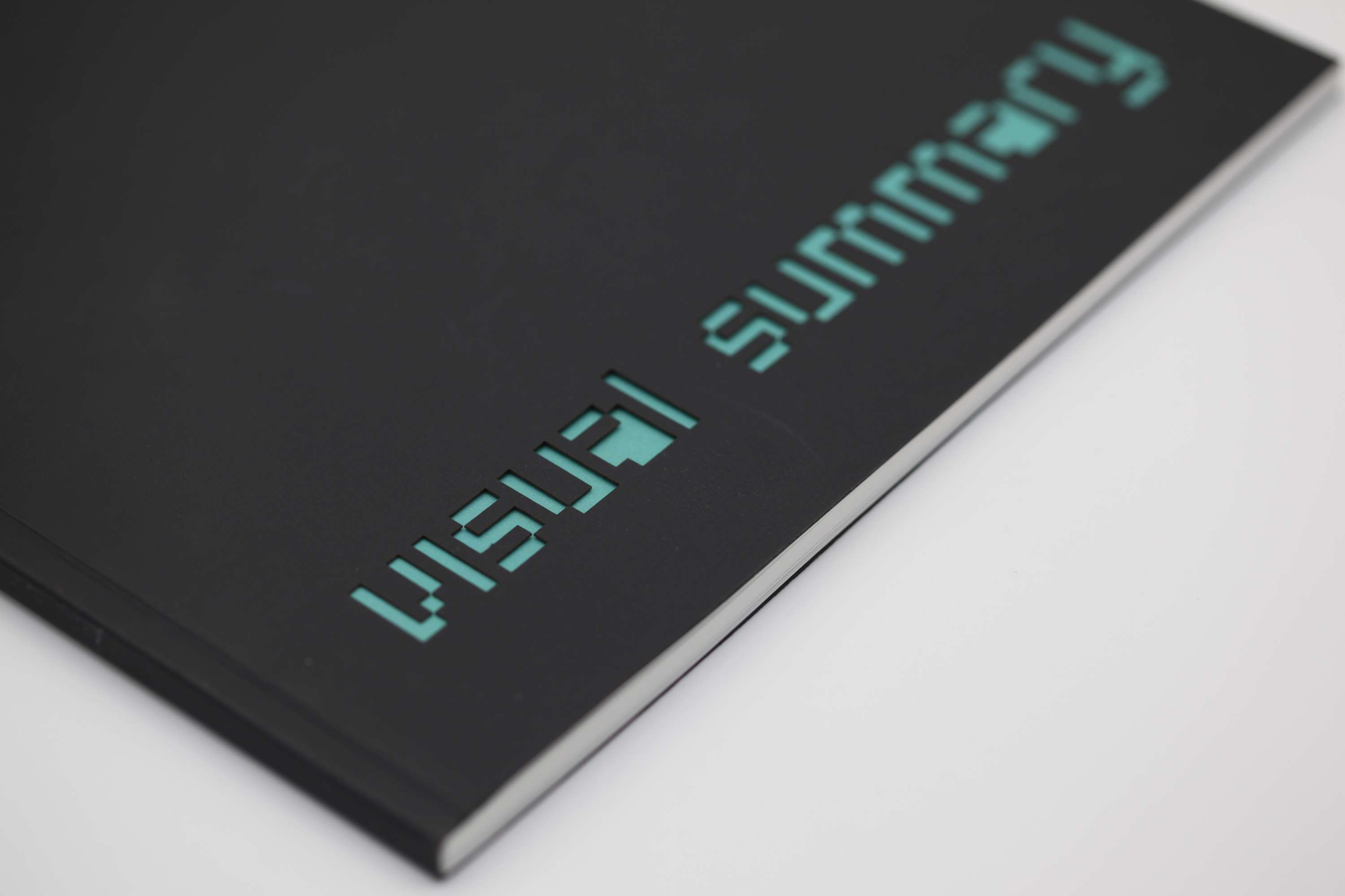 Visual Summary. A4 Publication by Iryna Degoda