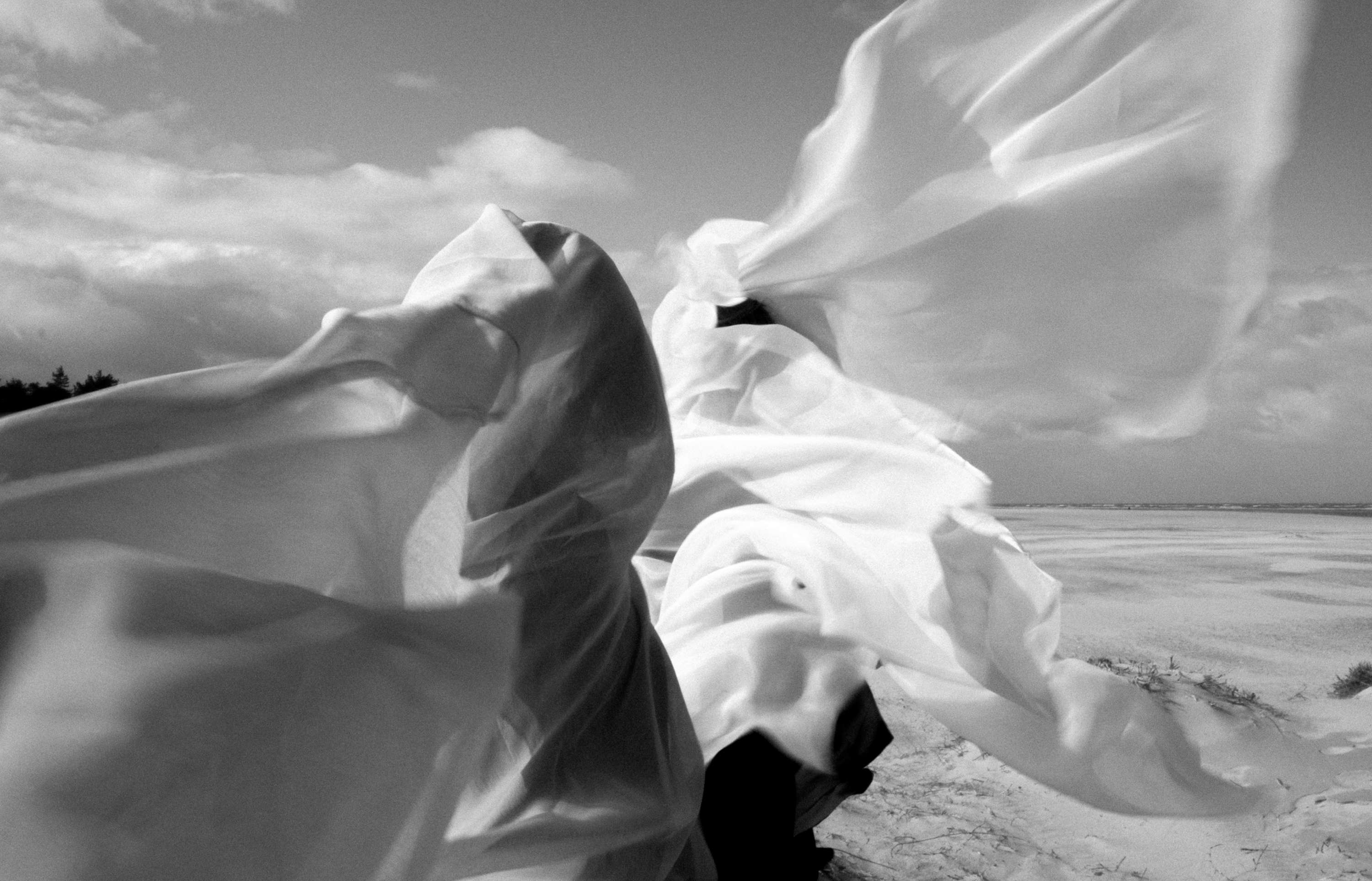 Migration by Jordan Longhurst
