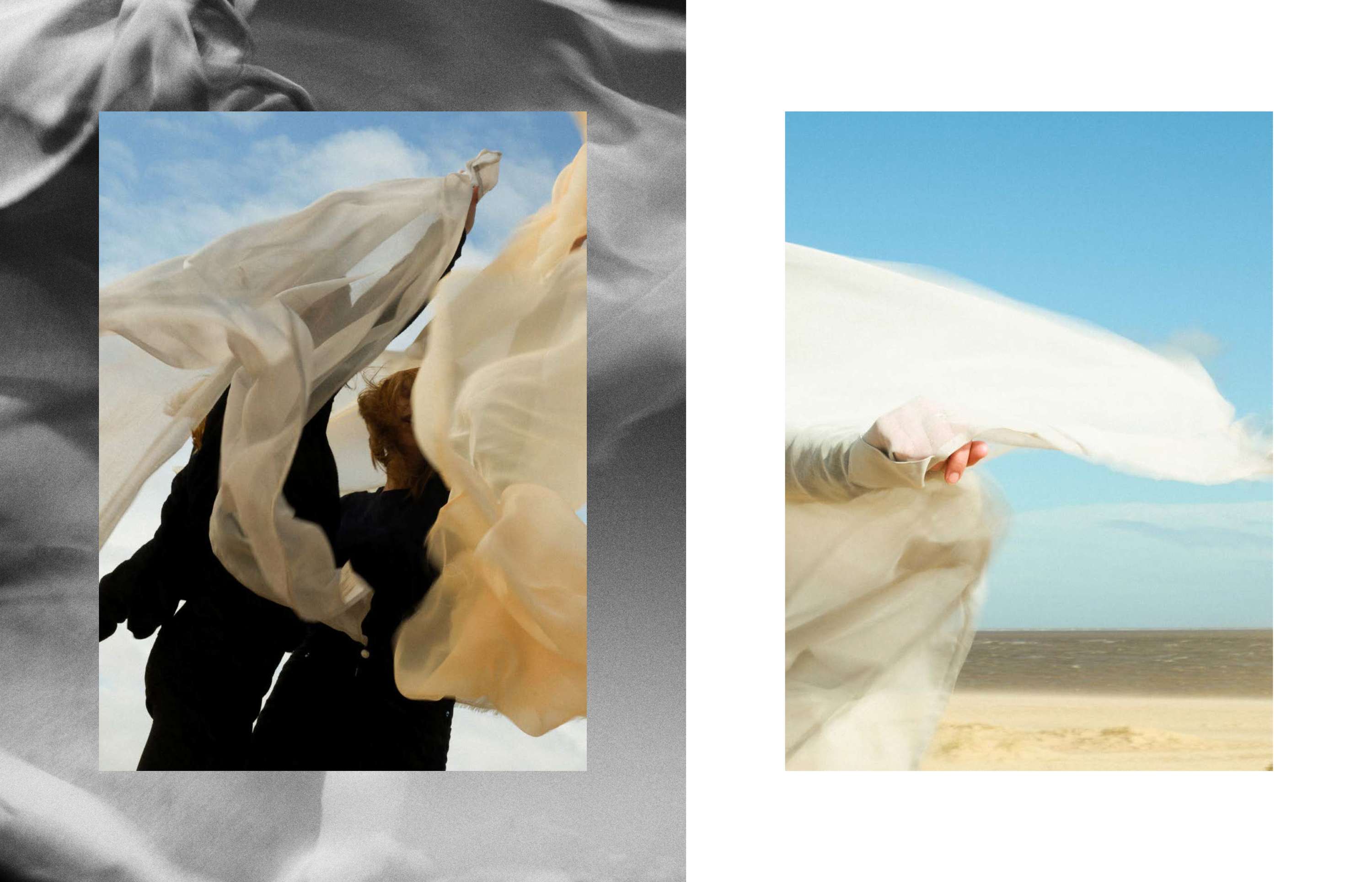 Migration by Jordan Longhurst