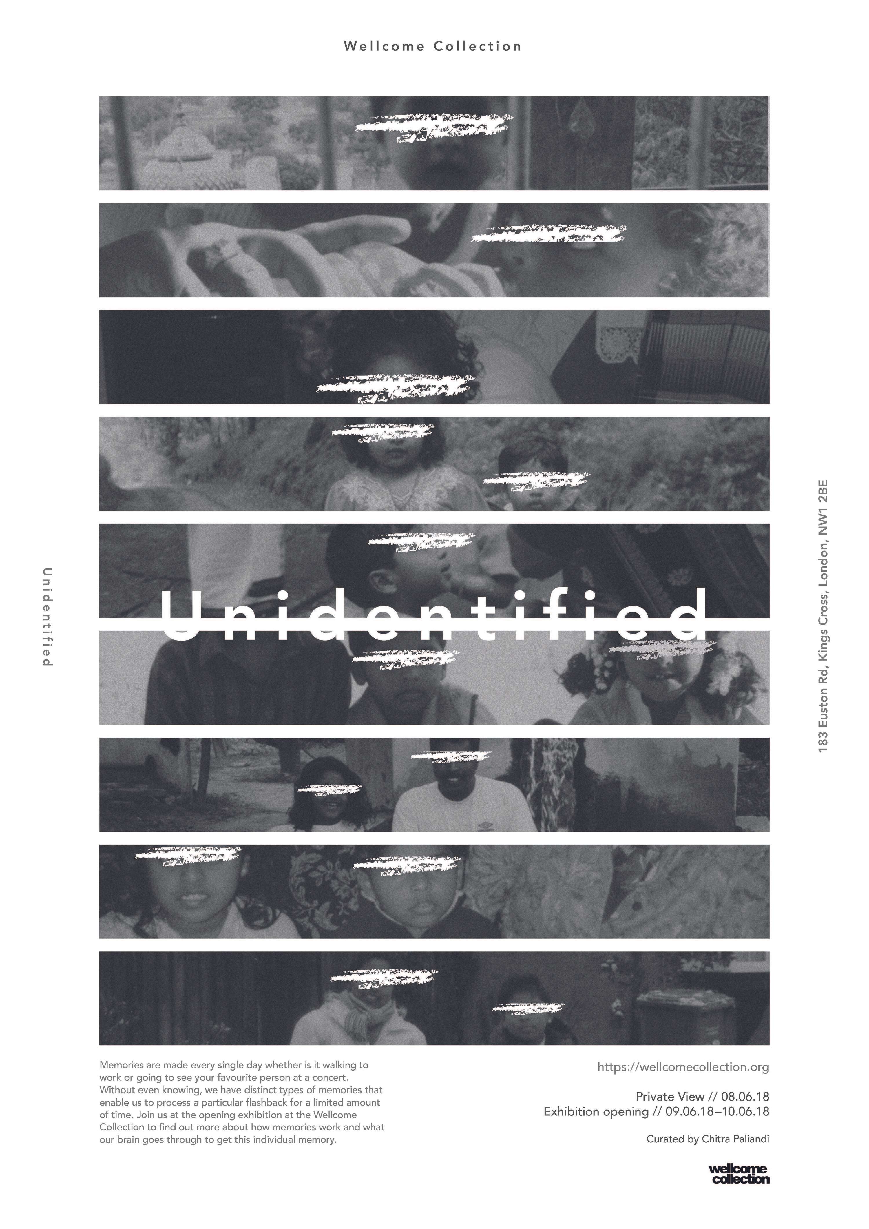 UNIDENTIFIED by Chitra Paliandi