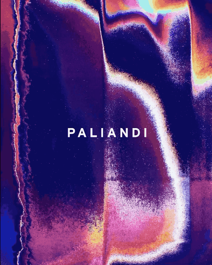 MOVING IMAGE by Chitra Paliandi