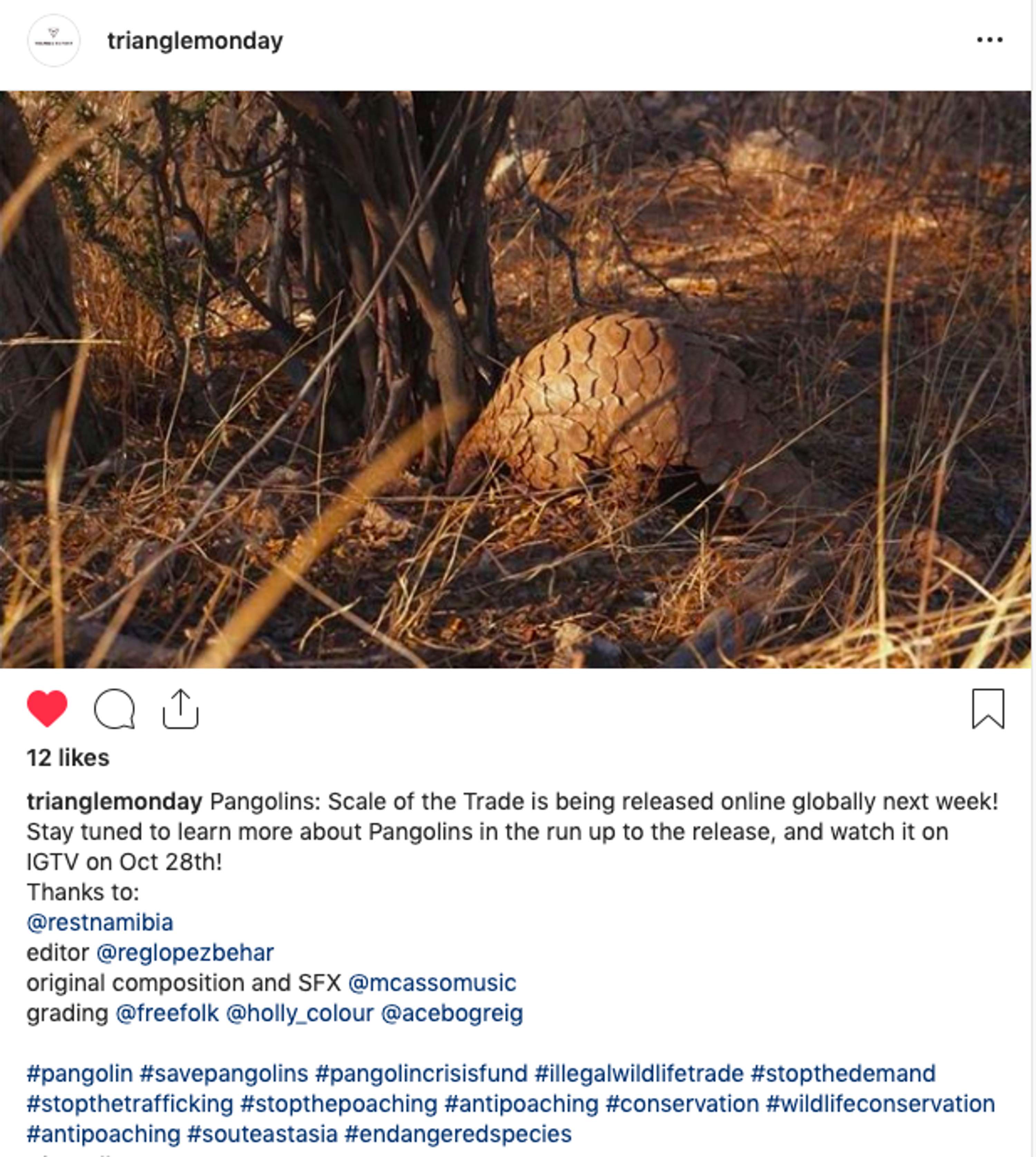 Social Media Coverage for the Launch of 3 x films with Triangle Monday by Diana Turchi