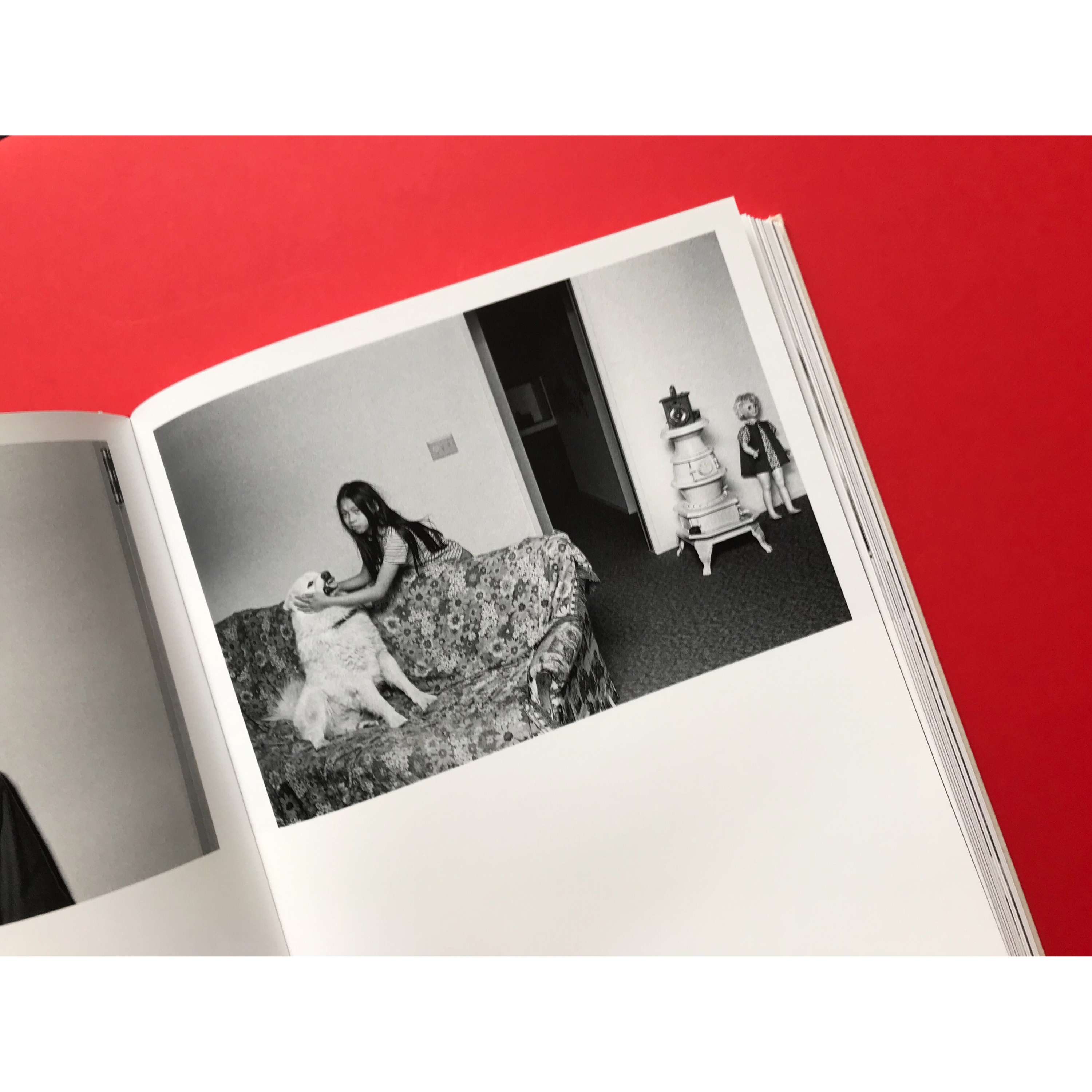 Who Is Michael Jang? by Pascale Georgiev