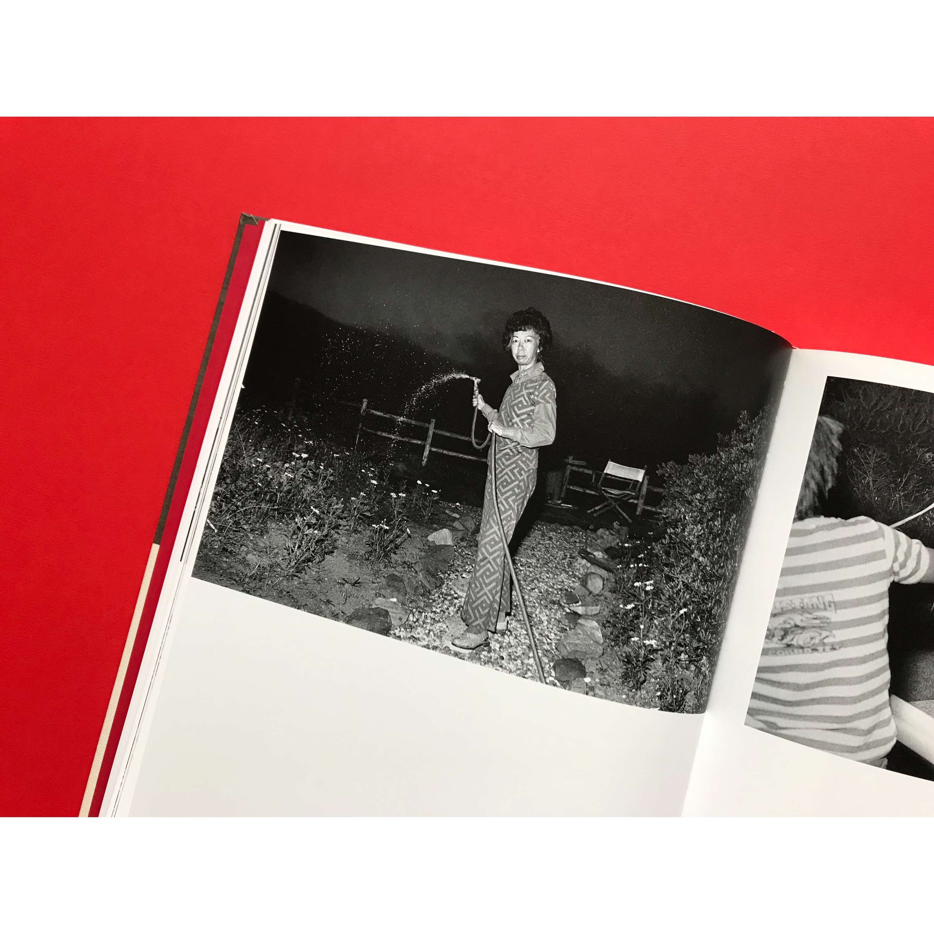 Who Is Michael Jang? by Pascale Georgiev