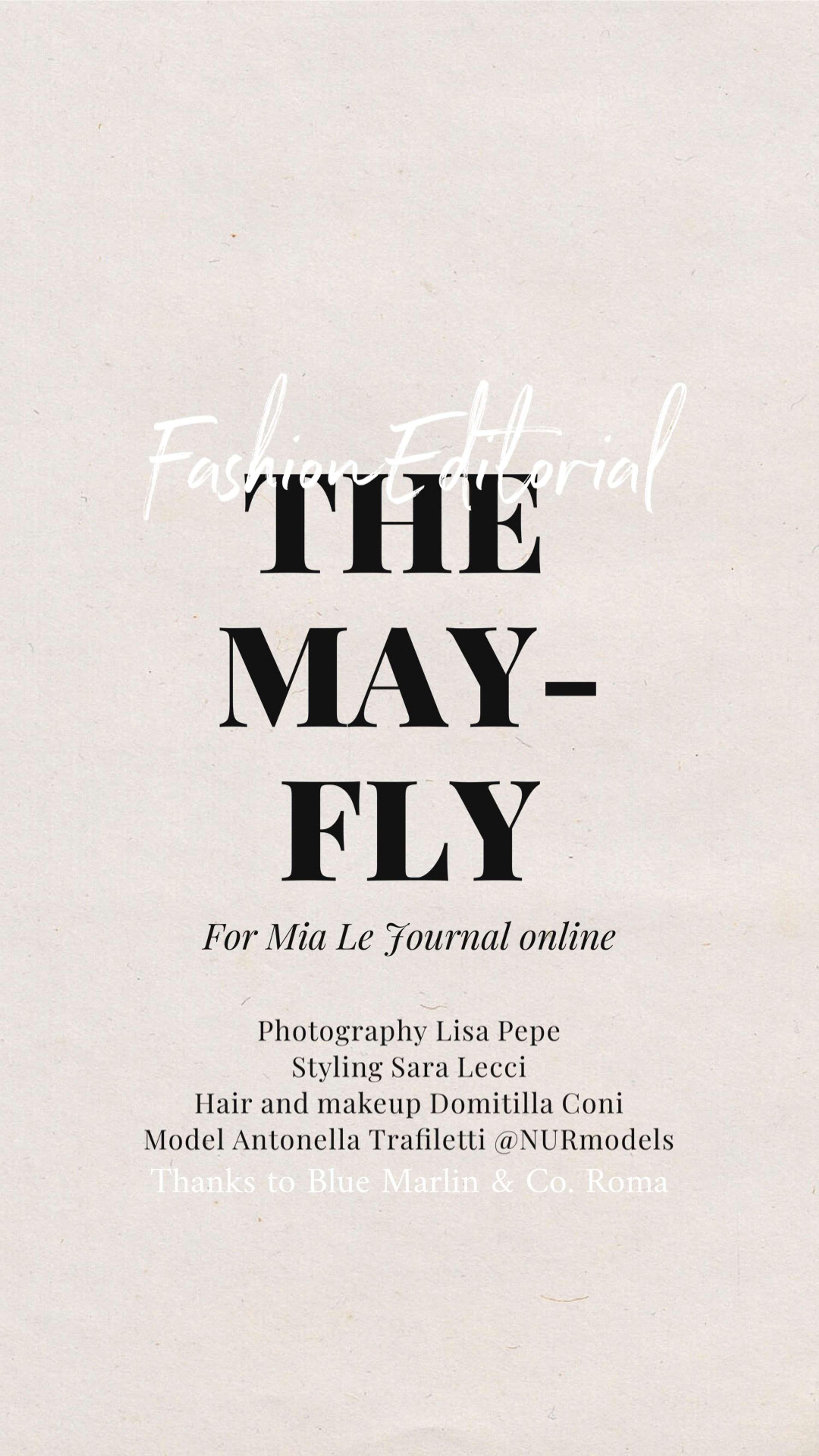 THE MAYFLY by Sara Lecci