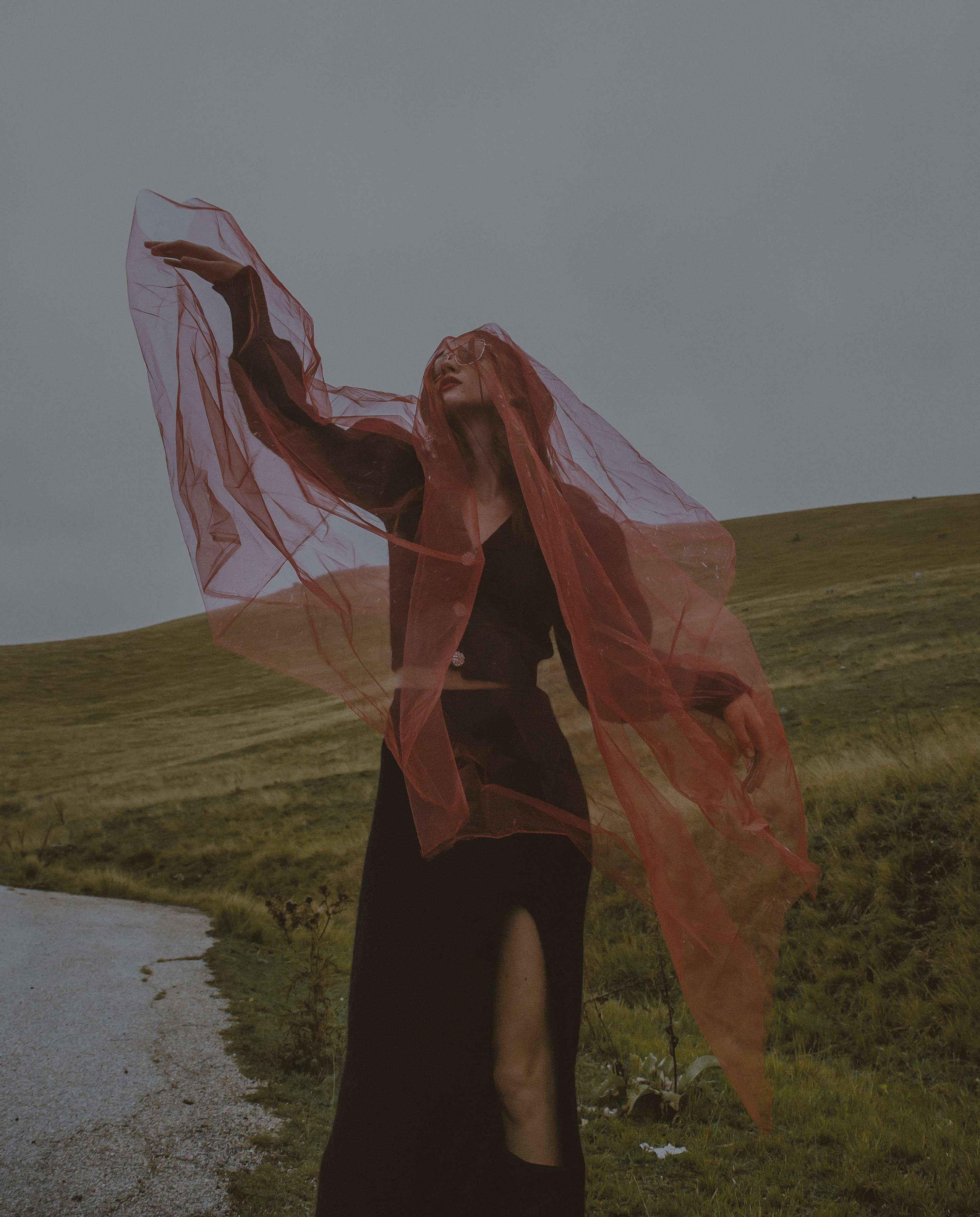 THE MAYFLY by Sara Lecci