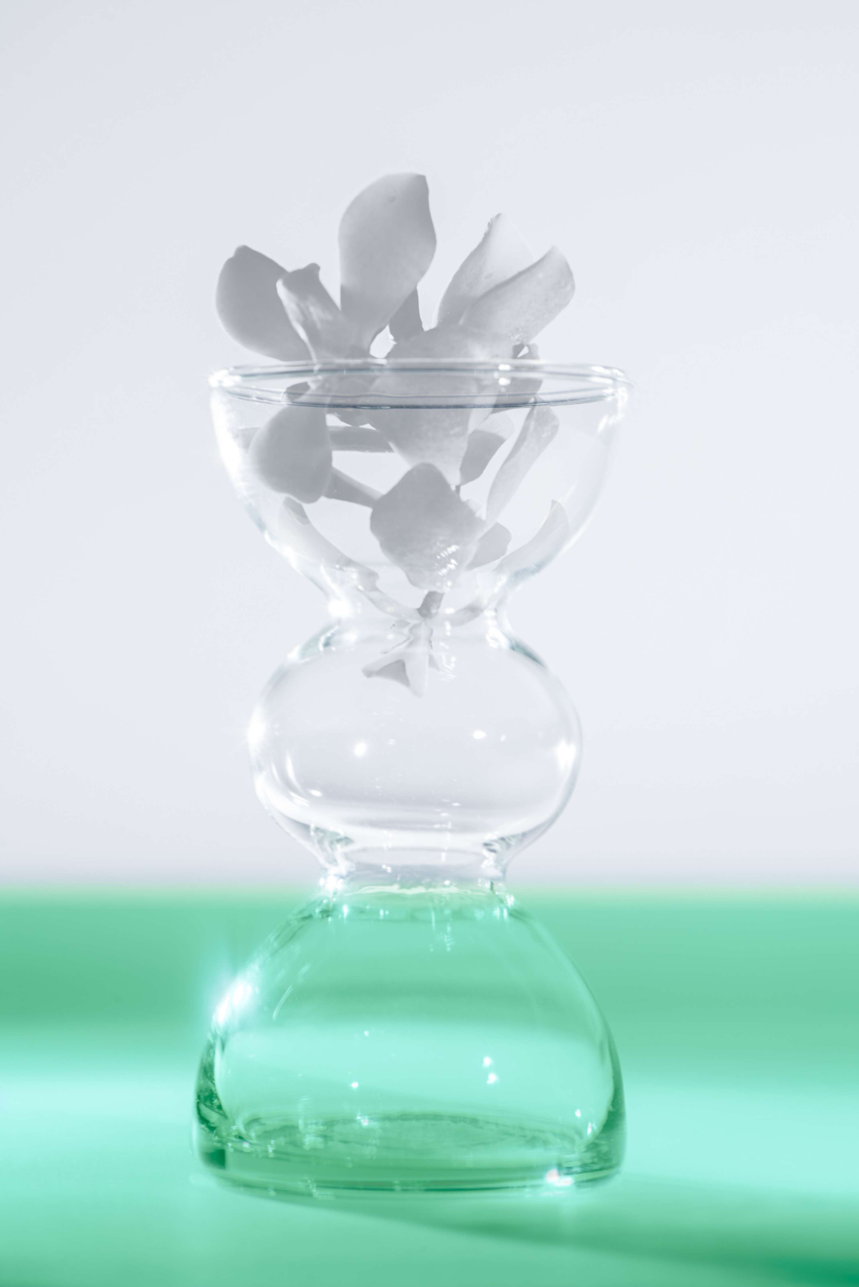 Half Full Half Empty with LSA by Carine Buchanan