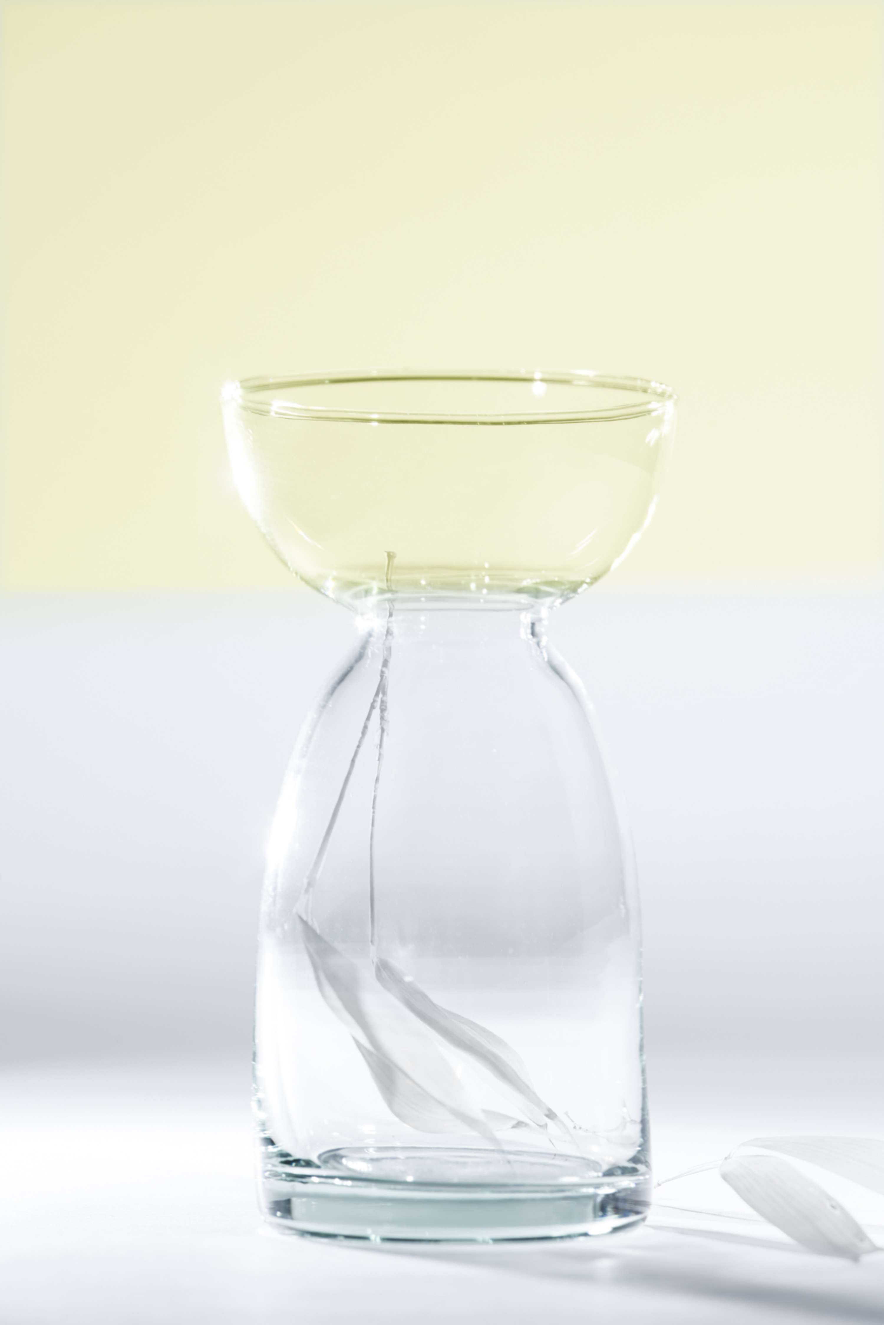 Half Full Half Empty with LSA by Carine Buchanan