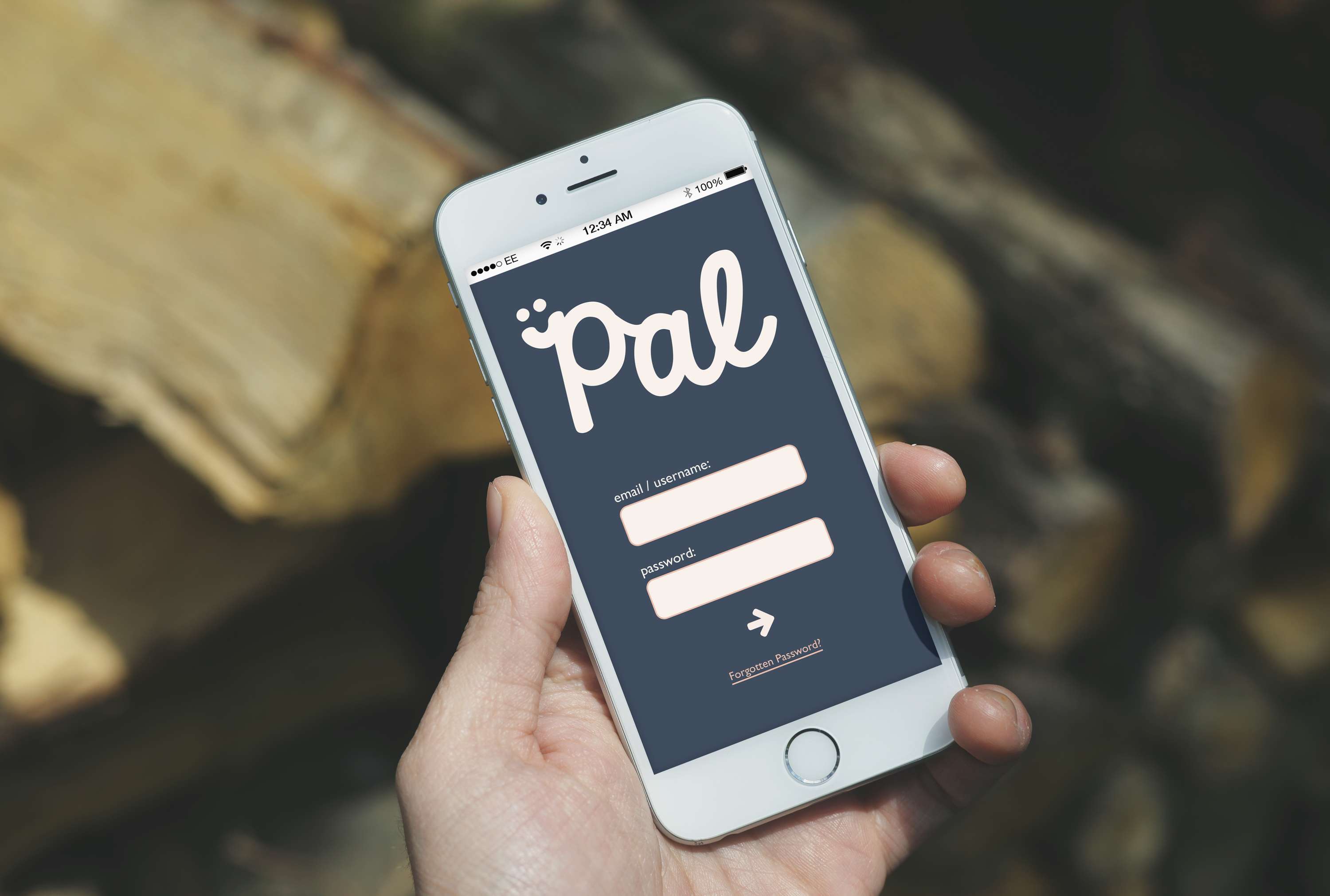 PAL by Alice Tomlinson