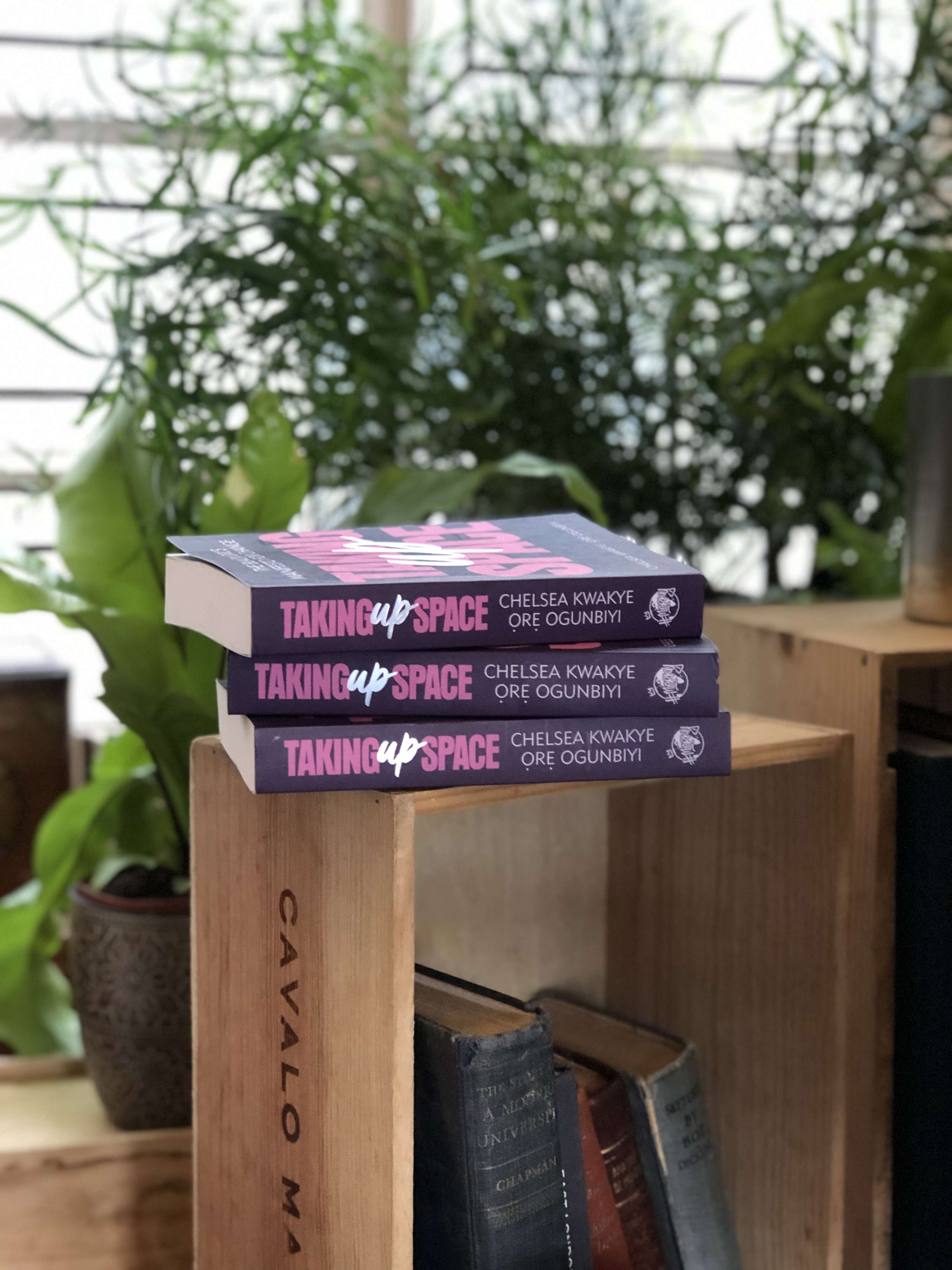 Modern Lit x Merky Books (Penguin Books) - Taking Up Space by Dani Nicholls