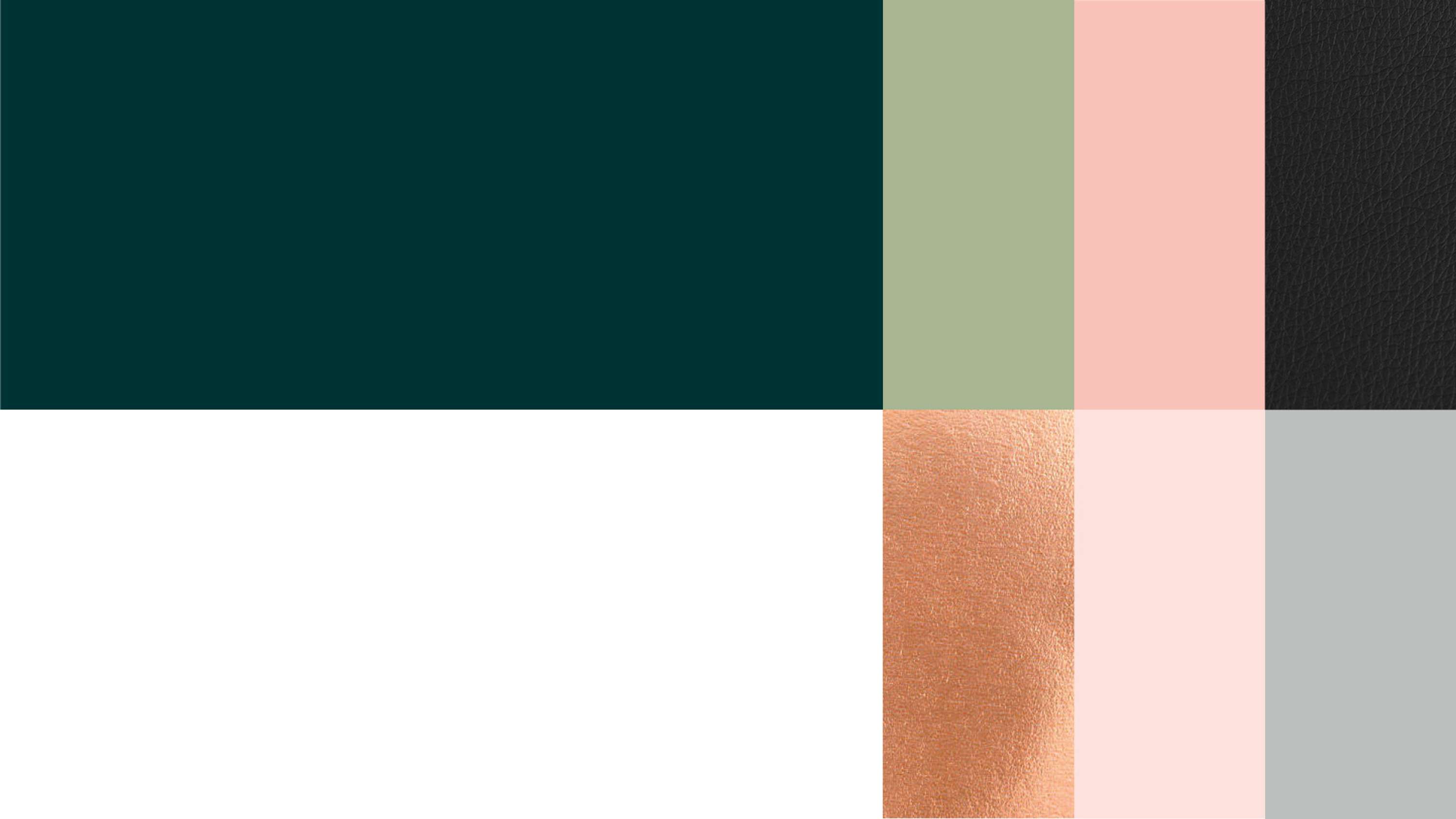 Brand Identity & Web Design by Rachael Seymour