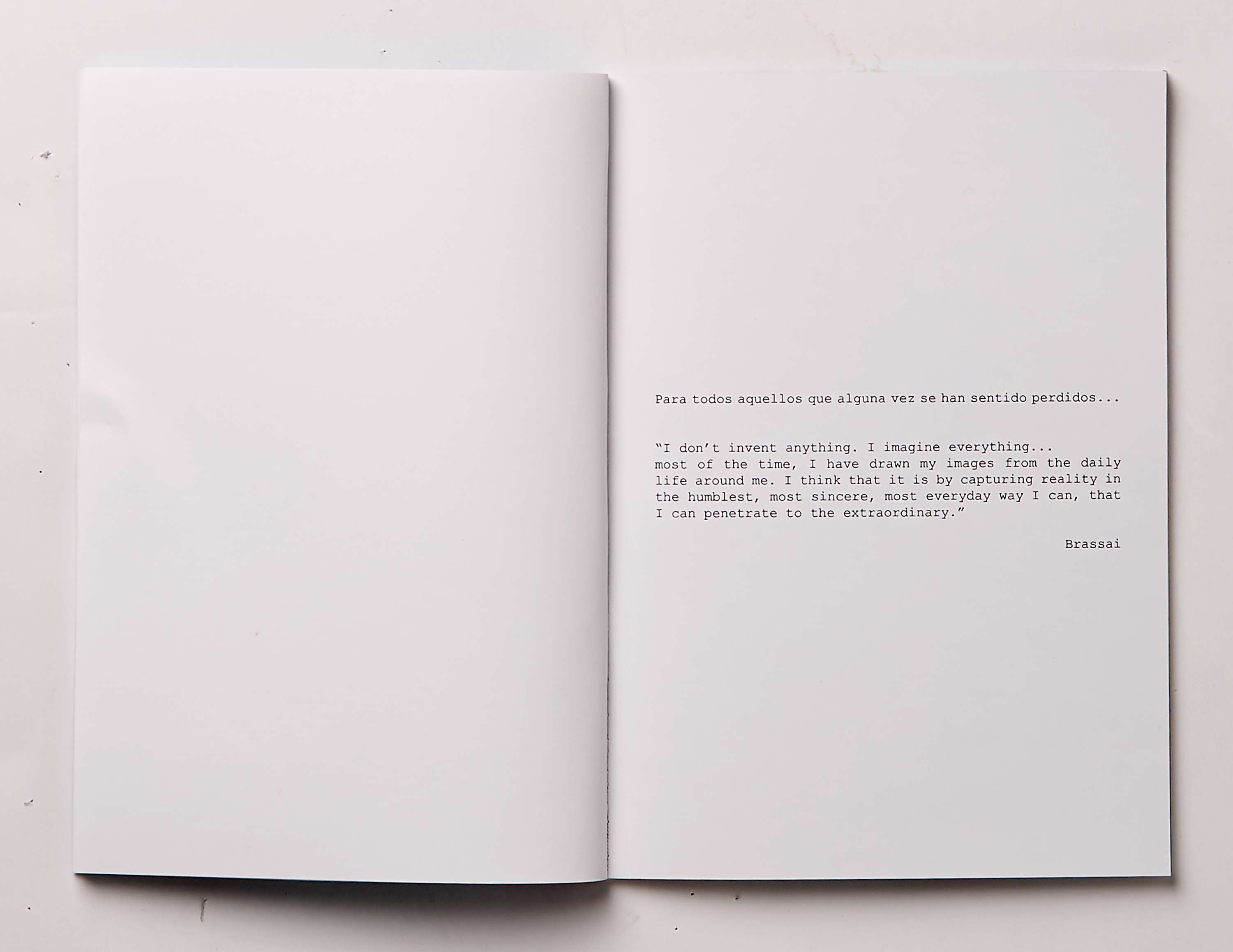 Wayfarer the Only Way (Book) by Verónica SJ