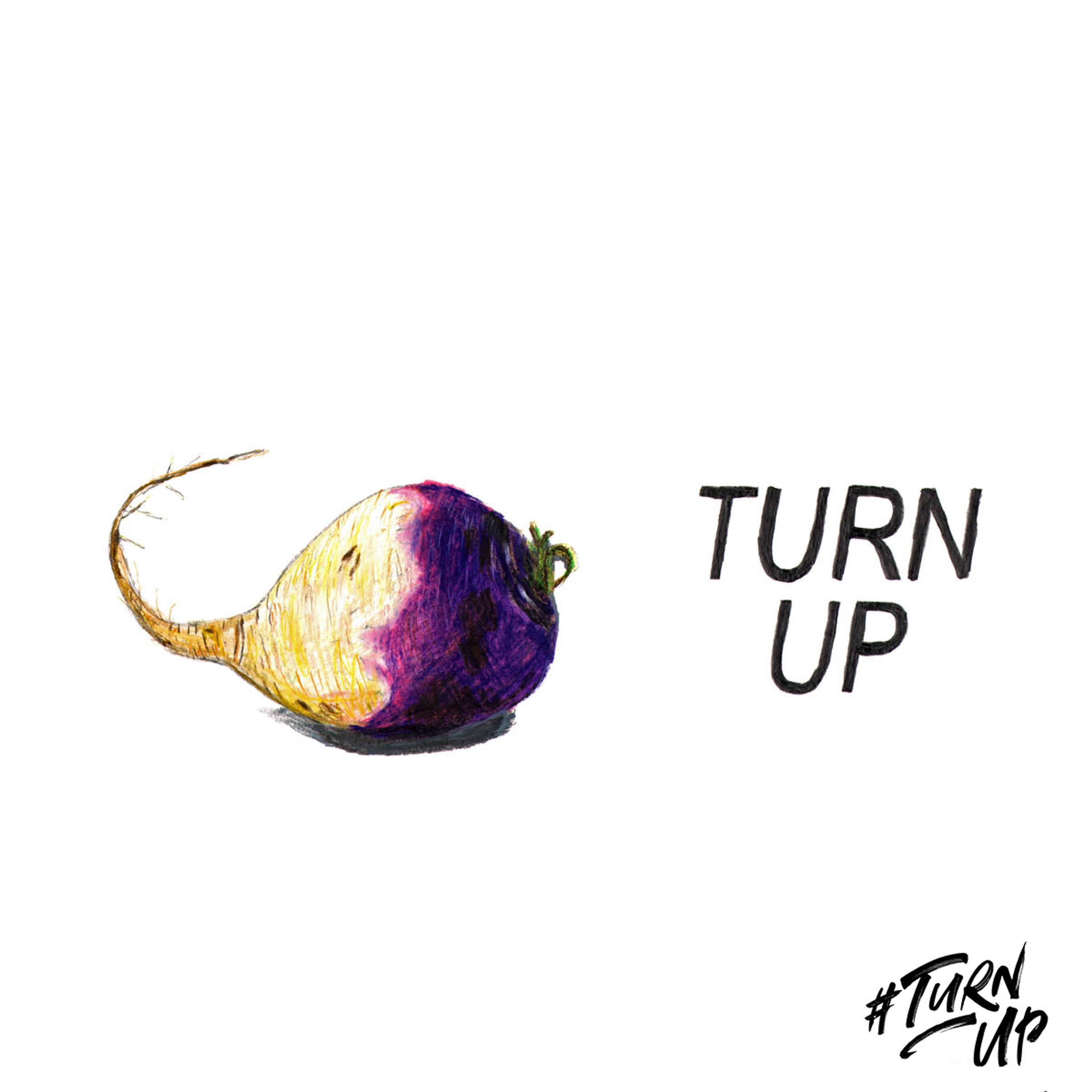 #TurnUp brief! by Jelly