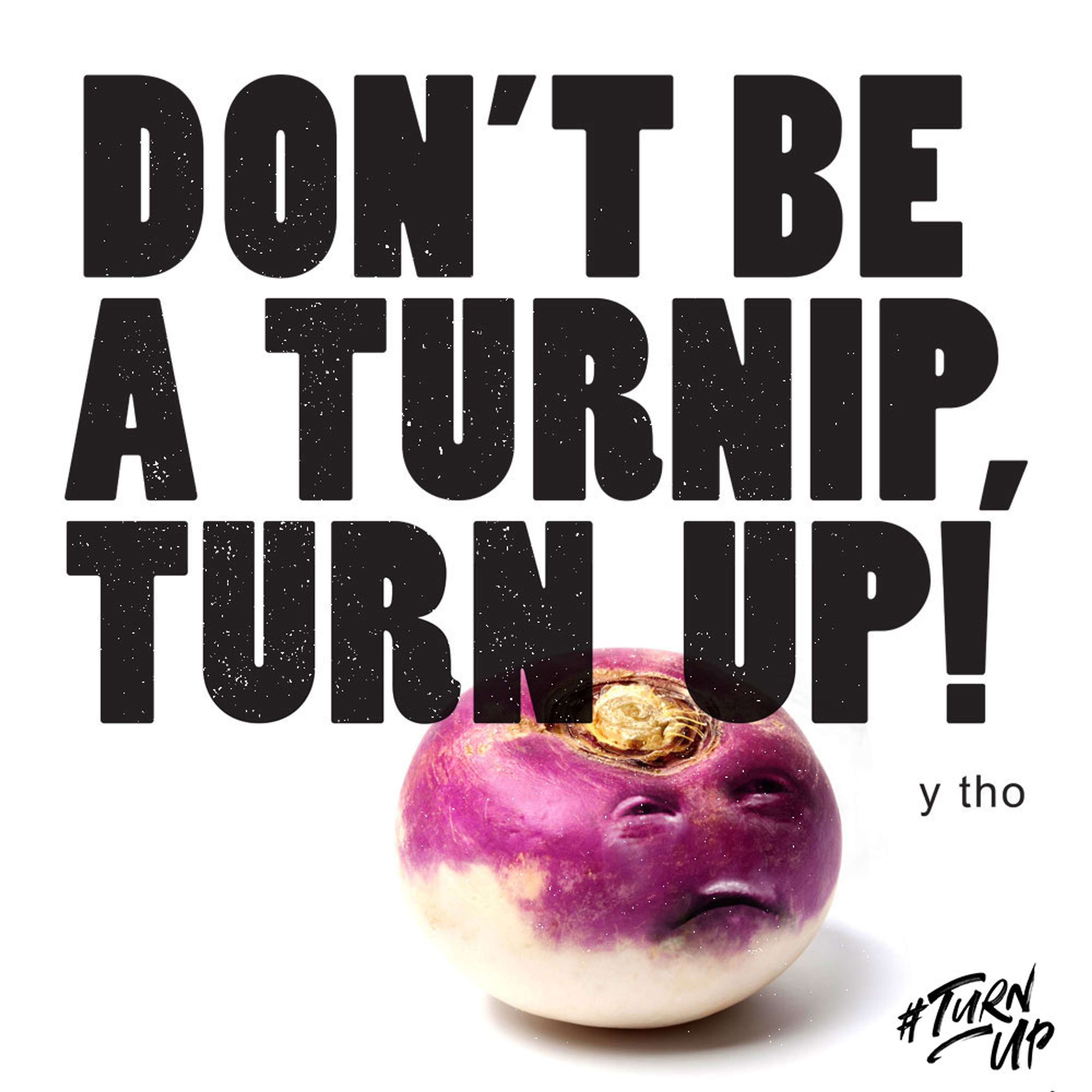 #TurnUp brief! by Jelly