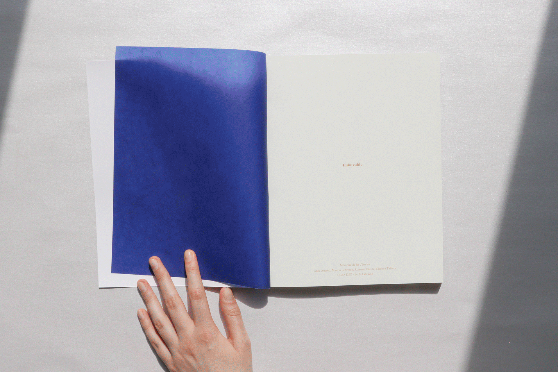 UNPALATABLE by Clarisse Talleux