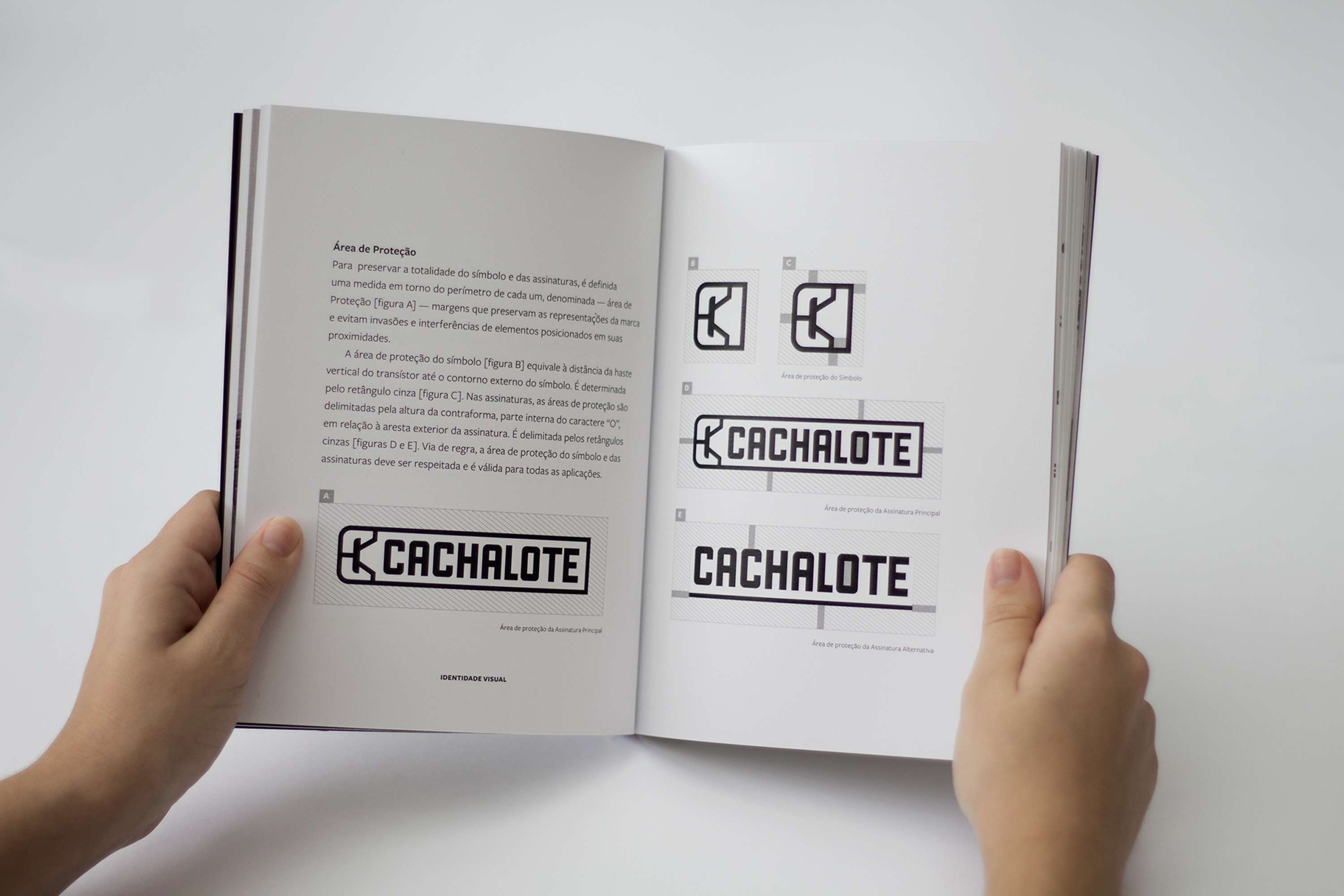 Cachalote by Vitor Meuren