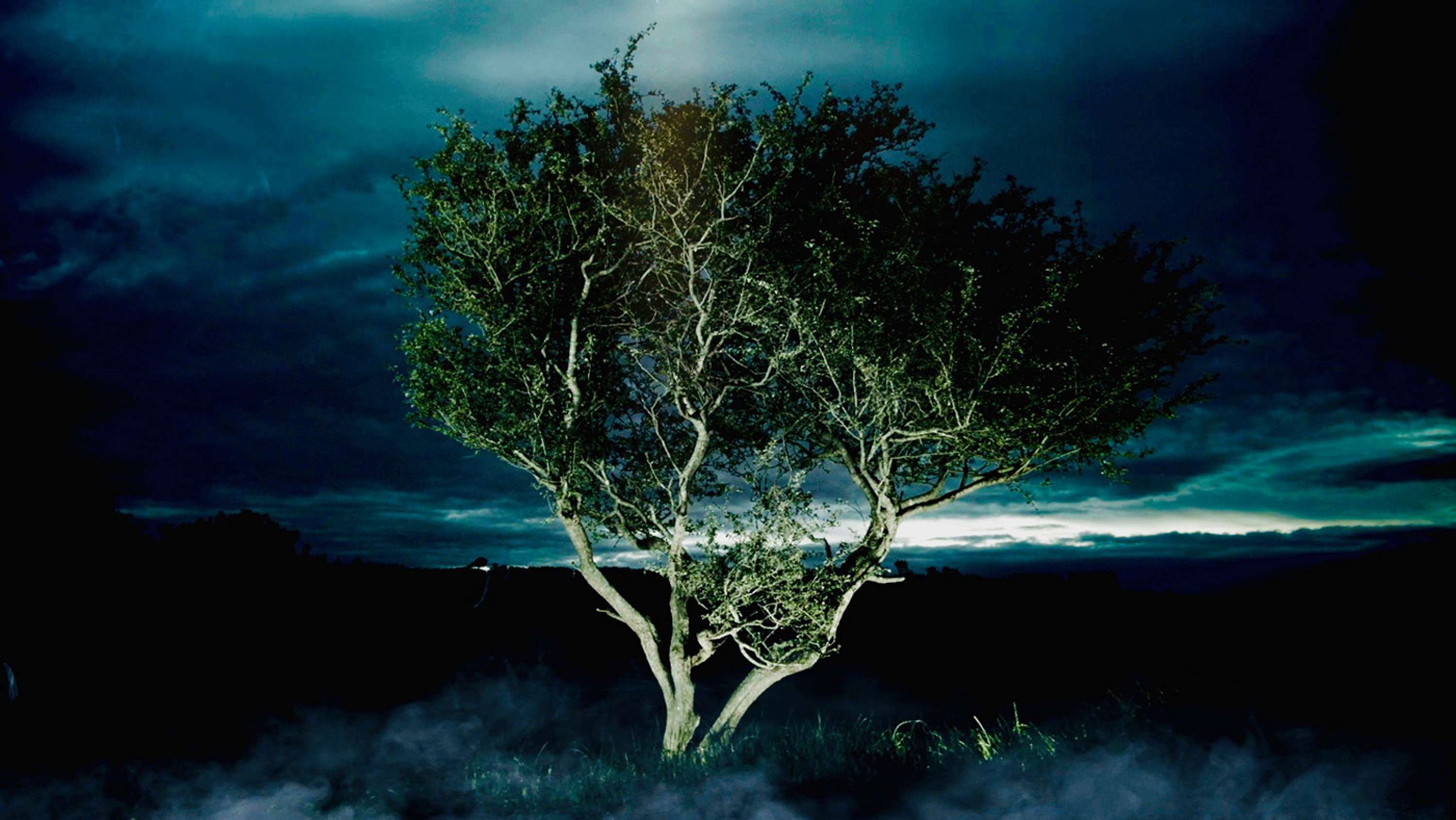 THREADS [immersive AV] by david ian bickley